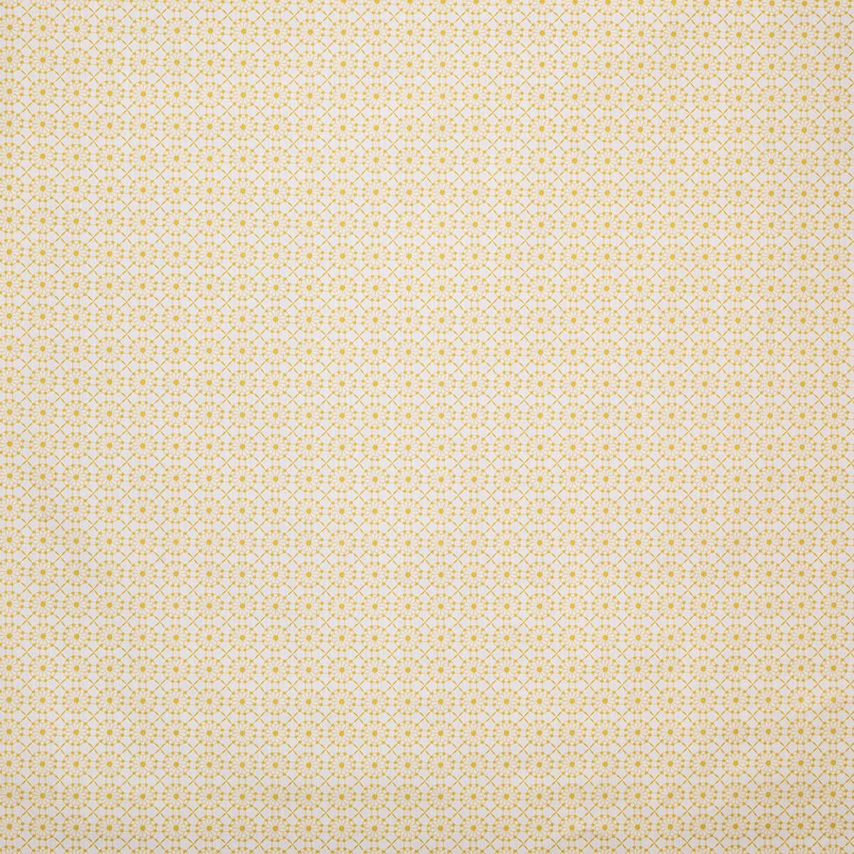 p6872-augustine-sunny-pindler