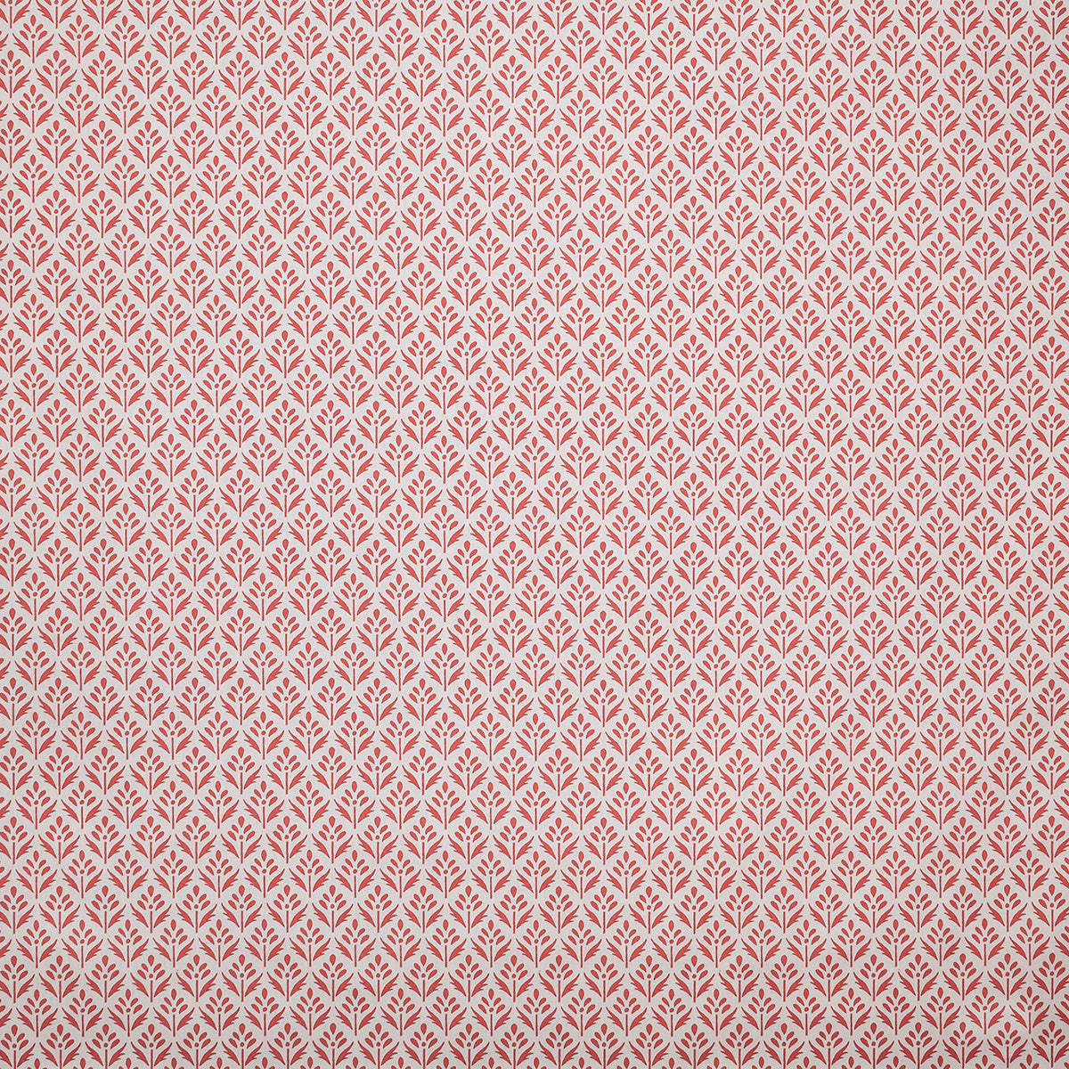 p6873-alys-coral-pindler