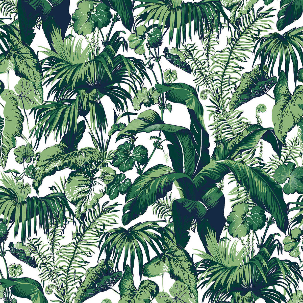 Feuillage - Blanc - BRUNSCHWIG & FILS Papel pintado
