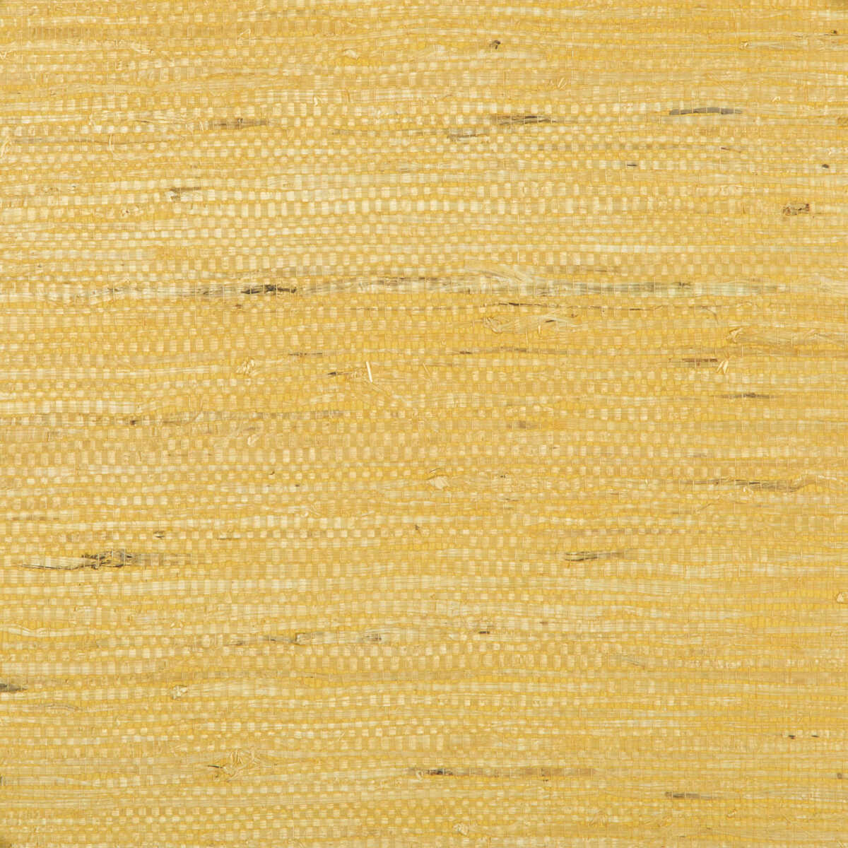 Kochi - Gold - BRUNSCHWIG & FILS Wallpaper