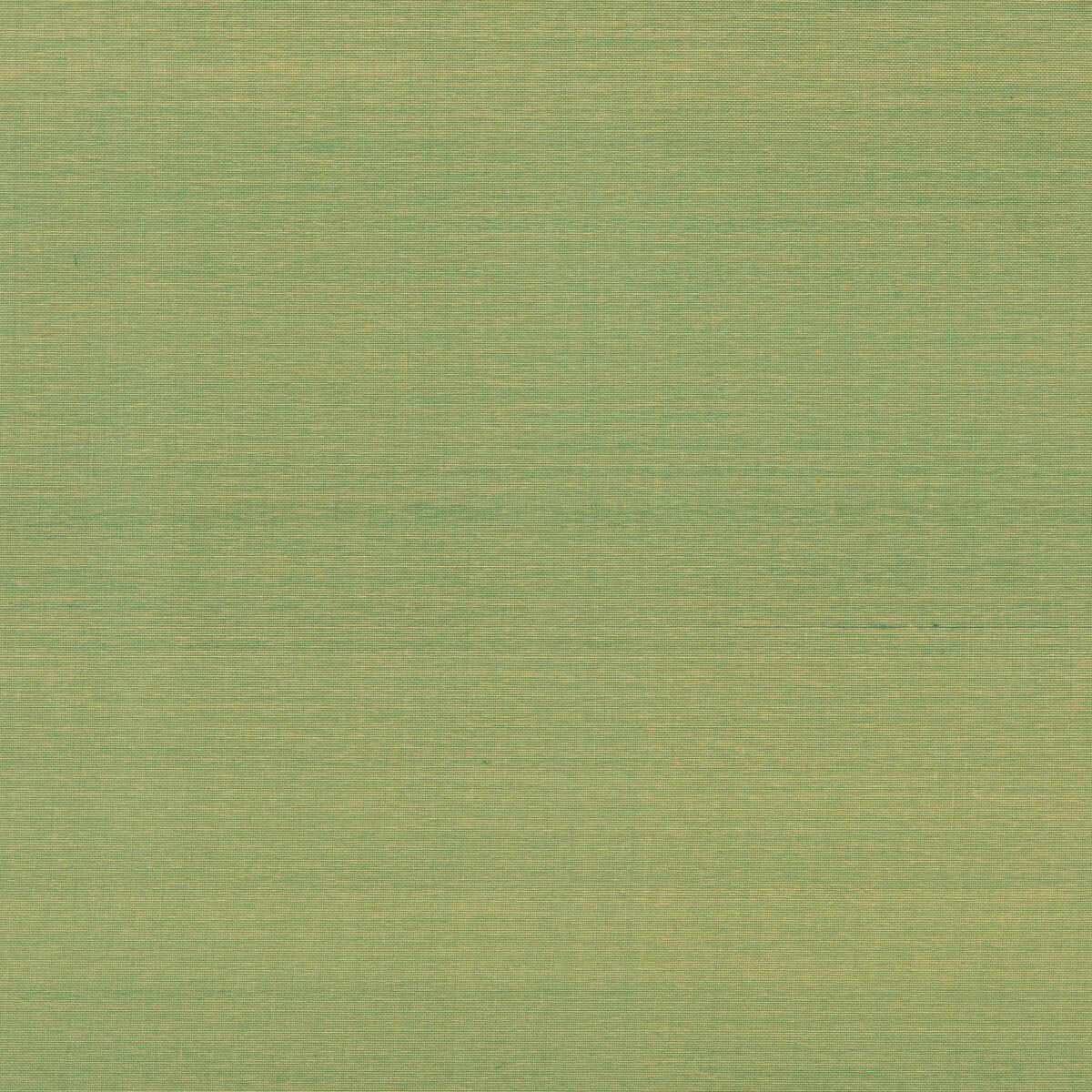 Seijun - Jade