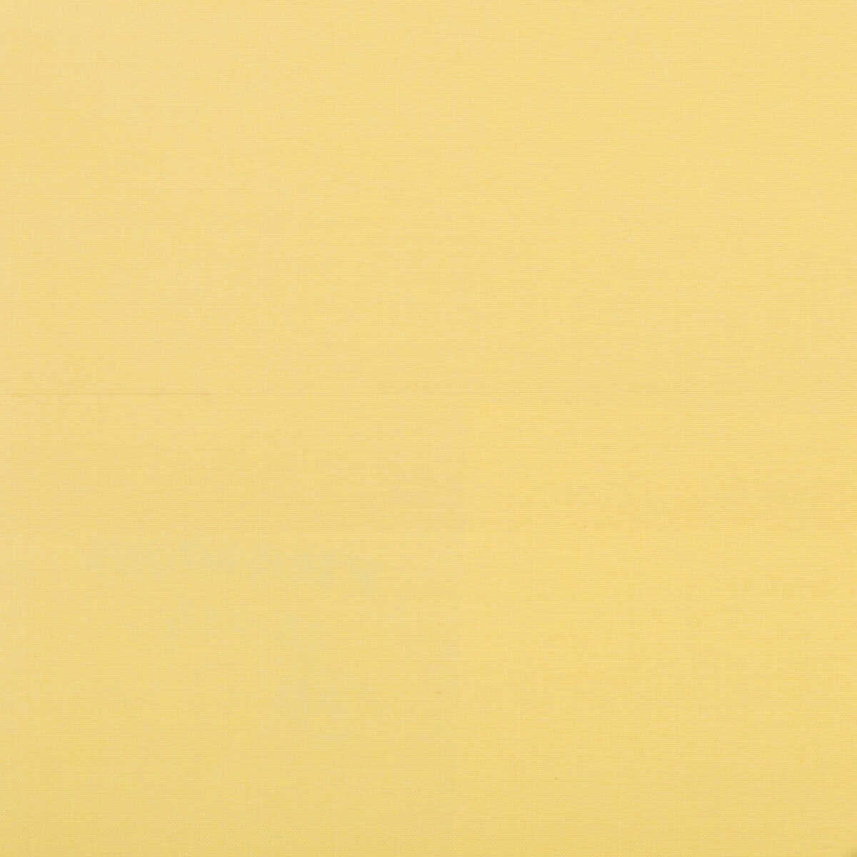 Seijun - Maize