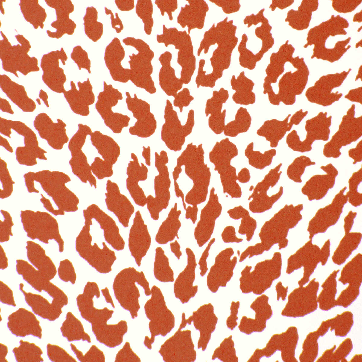 Petit Leopard - Orange - BRUNSCHWIG & FILS Wallpaper