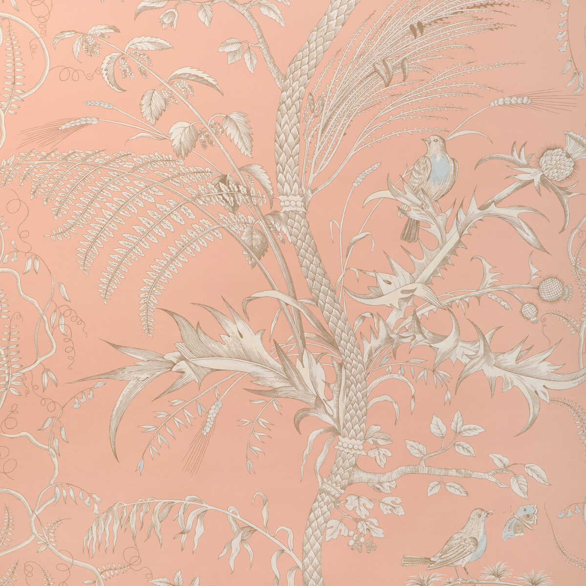 Bird And Thistle Ii - Peach - BRUNSCHWIG & FILS Papel pintado