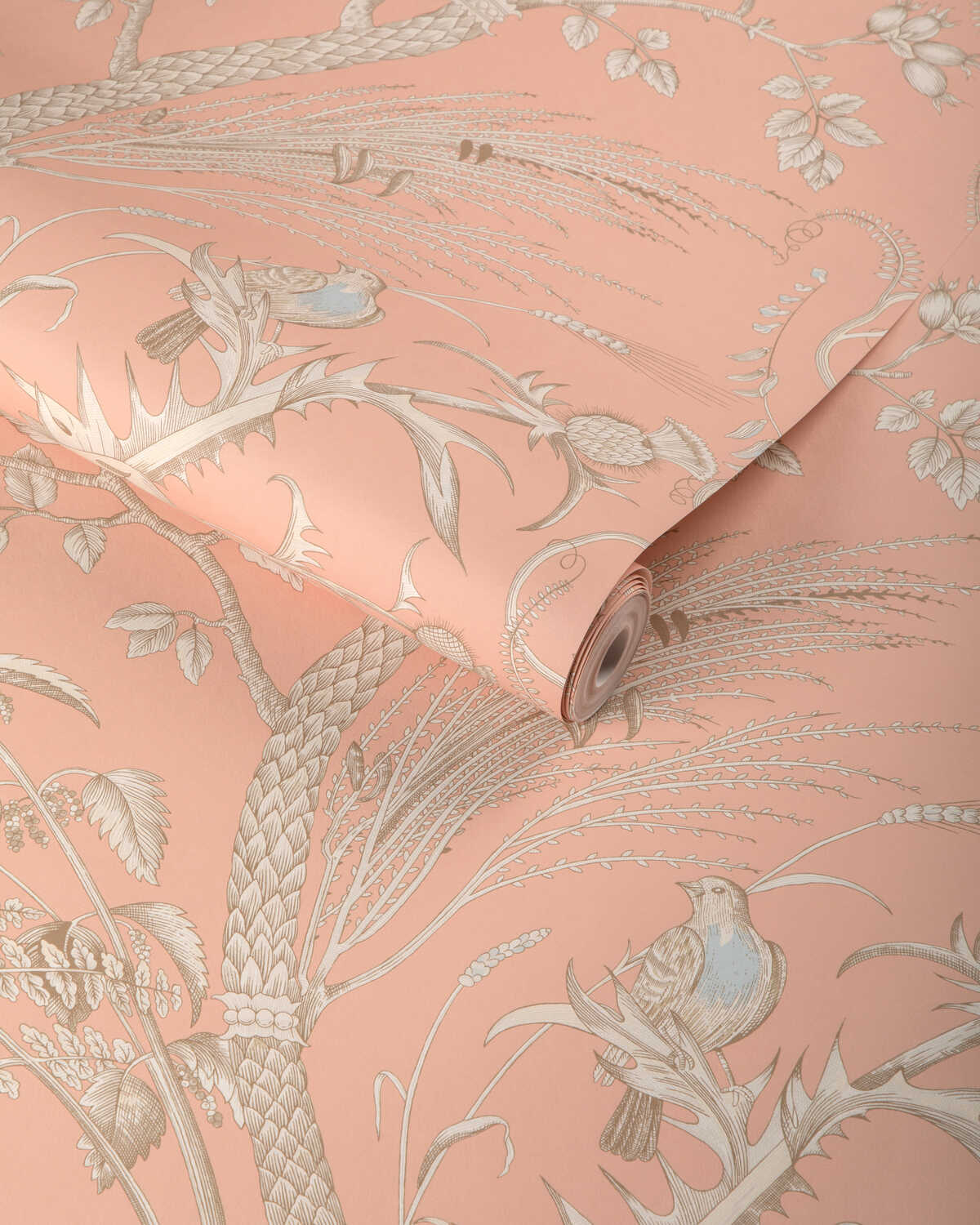 Bird And Thistle Ii - Peach - BRUNSCHWIG & FILS Papel pintado