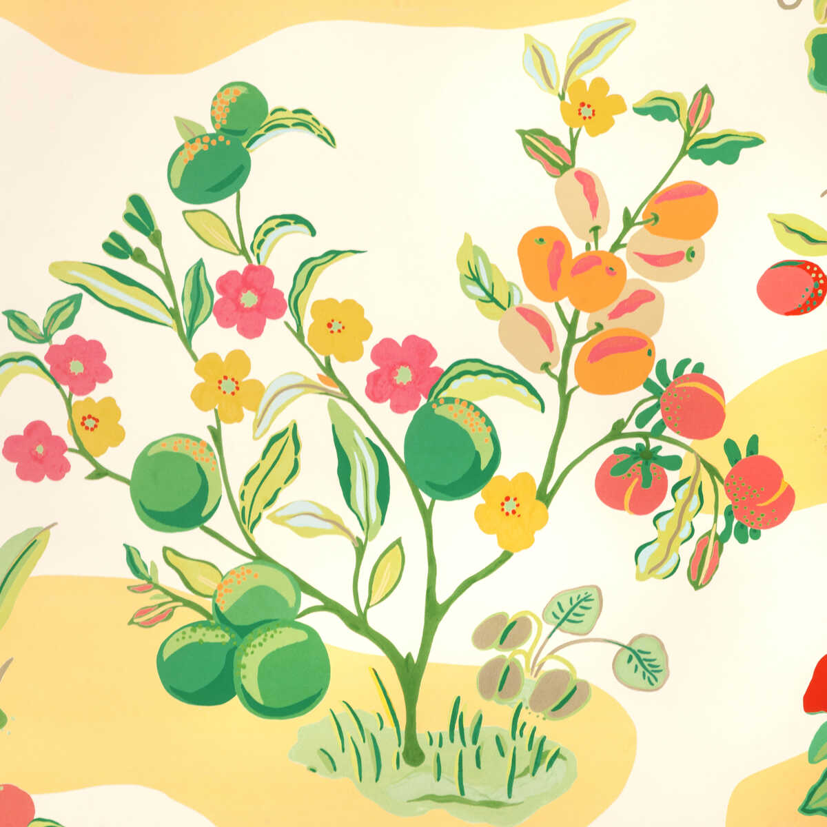 Pomelo - Spring - BRUNSCHWIG & FILS Papel pintado