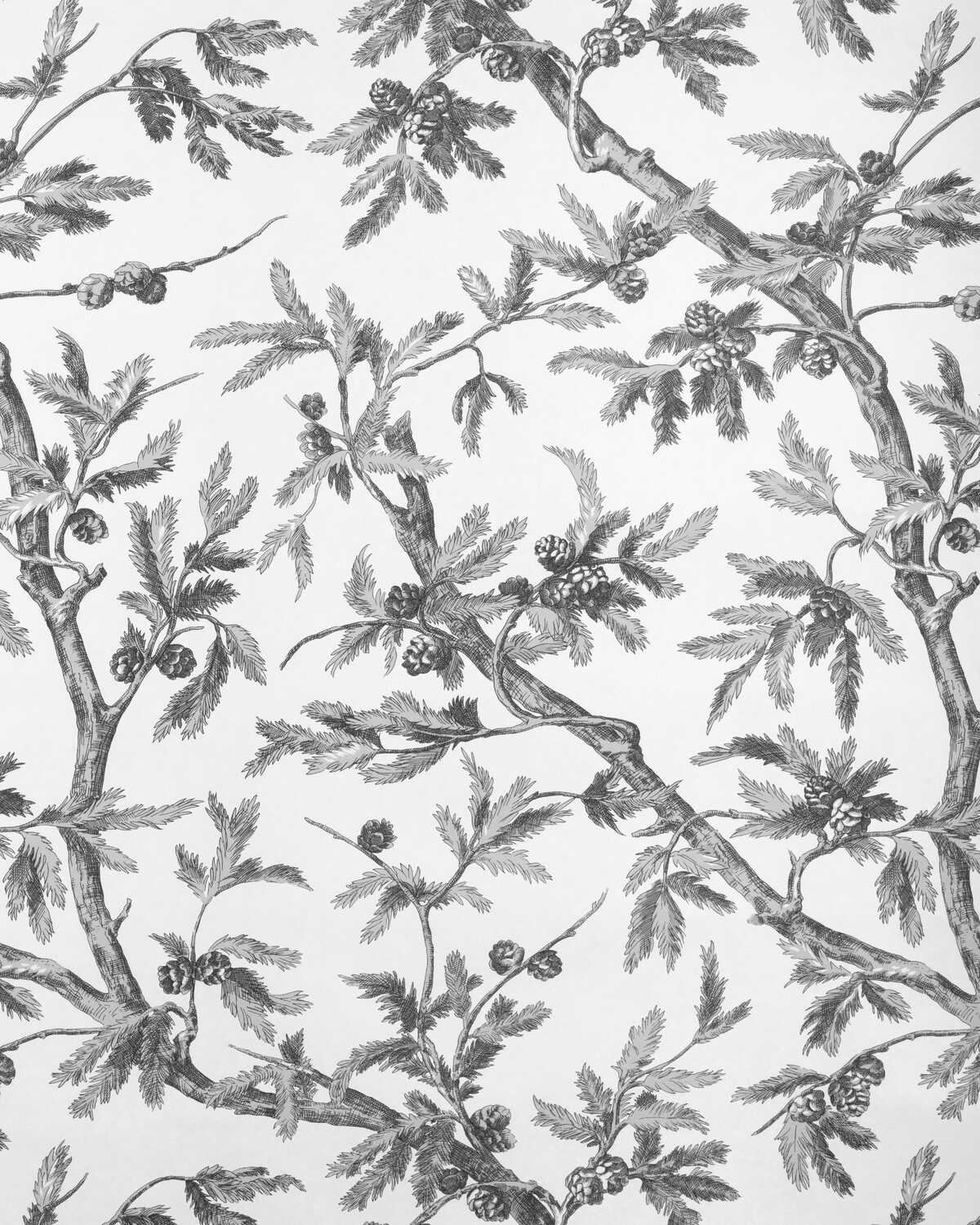 Branches De Pin Wc - Grey - BRUNSCHWIG & FILS Wallpaper