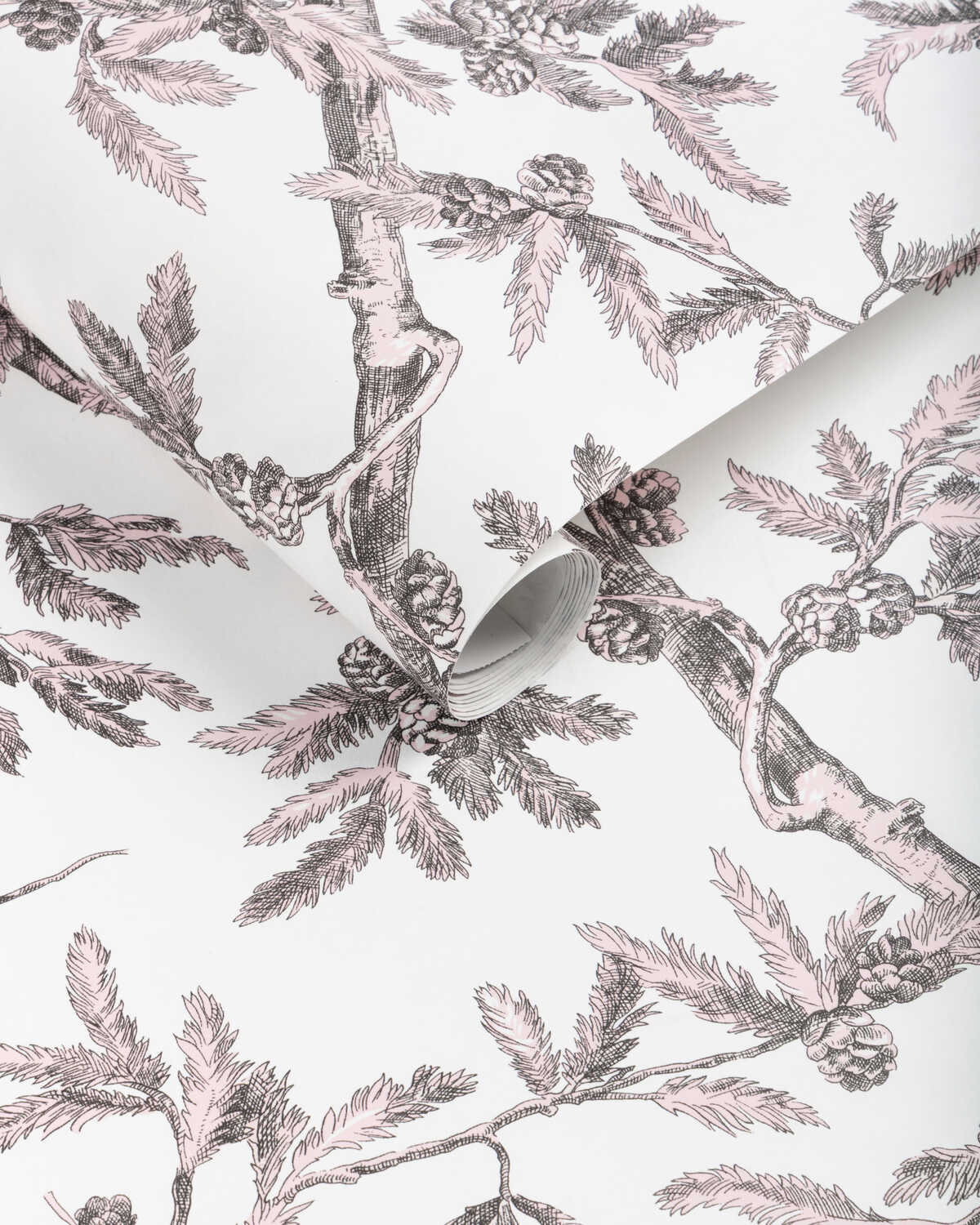 Branches De Pin Wc - Pink - BRUNSCHWIG & FILS Wallpaper