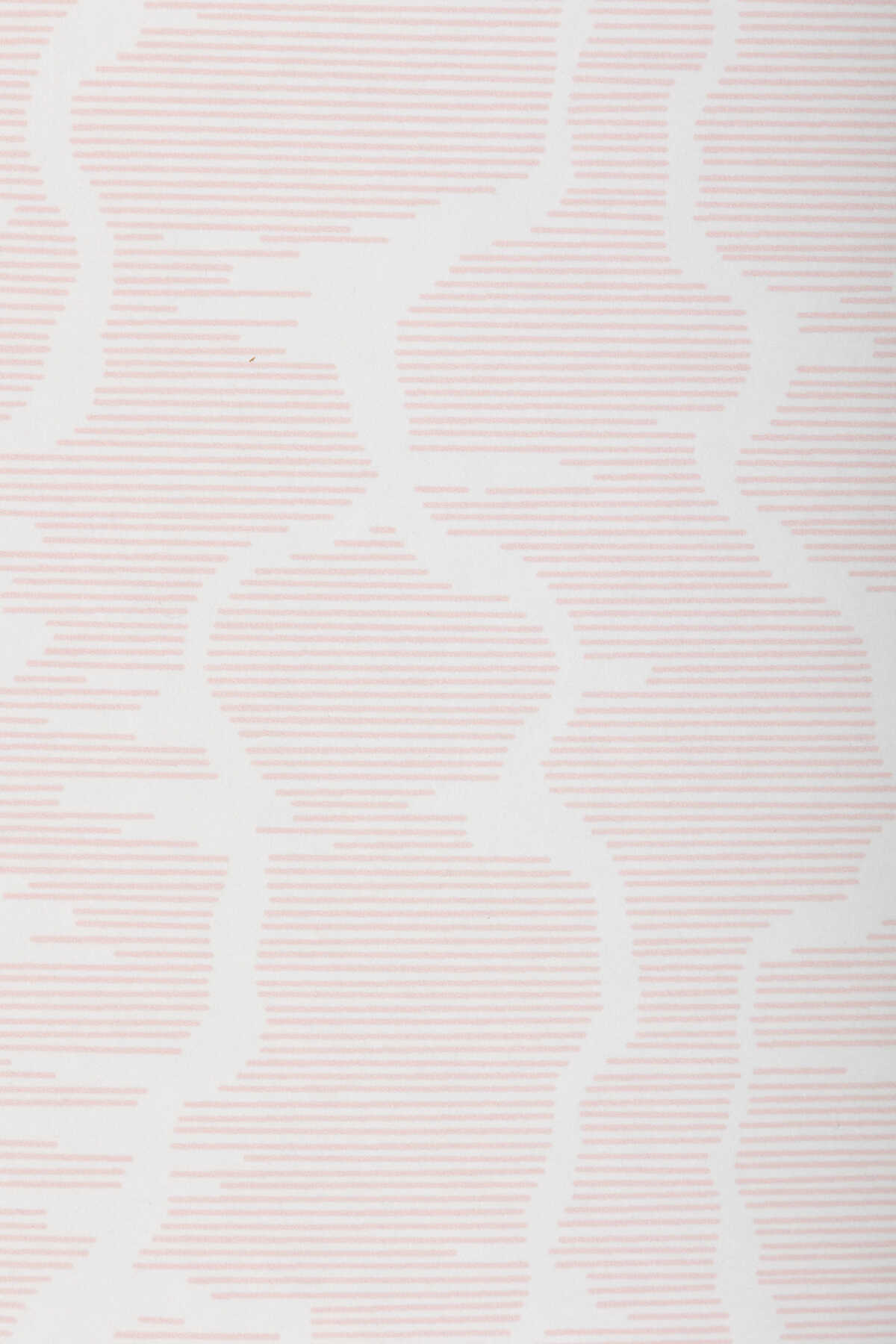 Leves Wc - Pink - BRUNSCHWIG & FILS Papel pintado