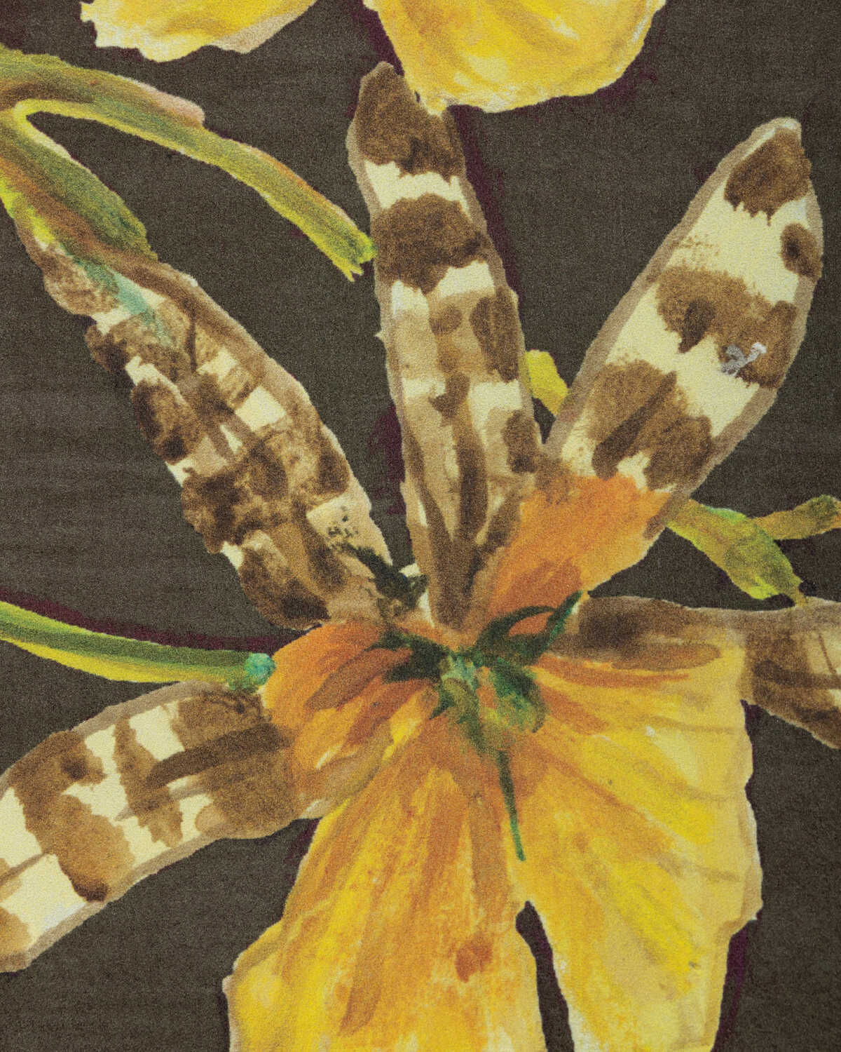 Jardin Yili Mural - Chocolate - BRUNSCHWIG & FILS Wallpaper