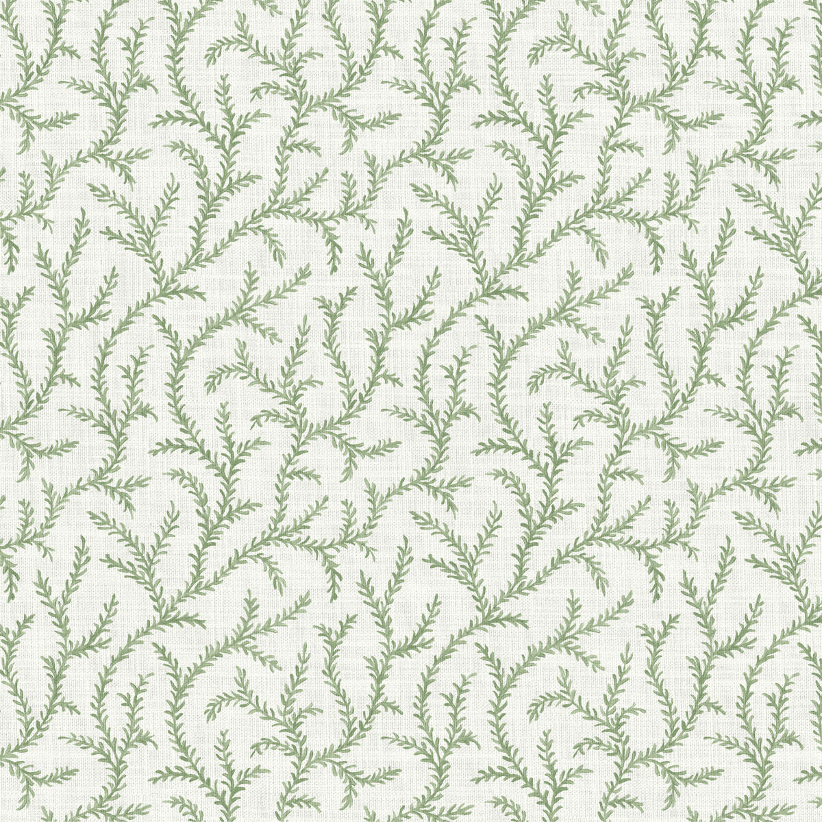 Inaya - Sage - Pure Edit Fabric