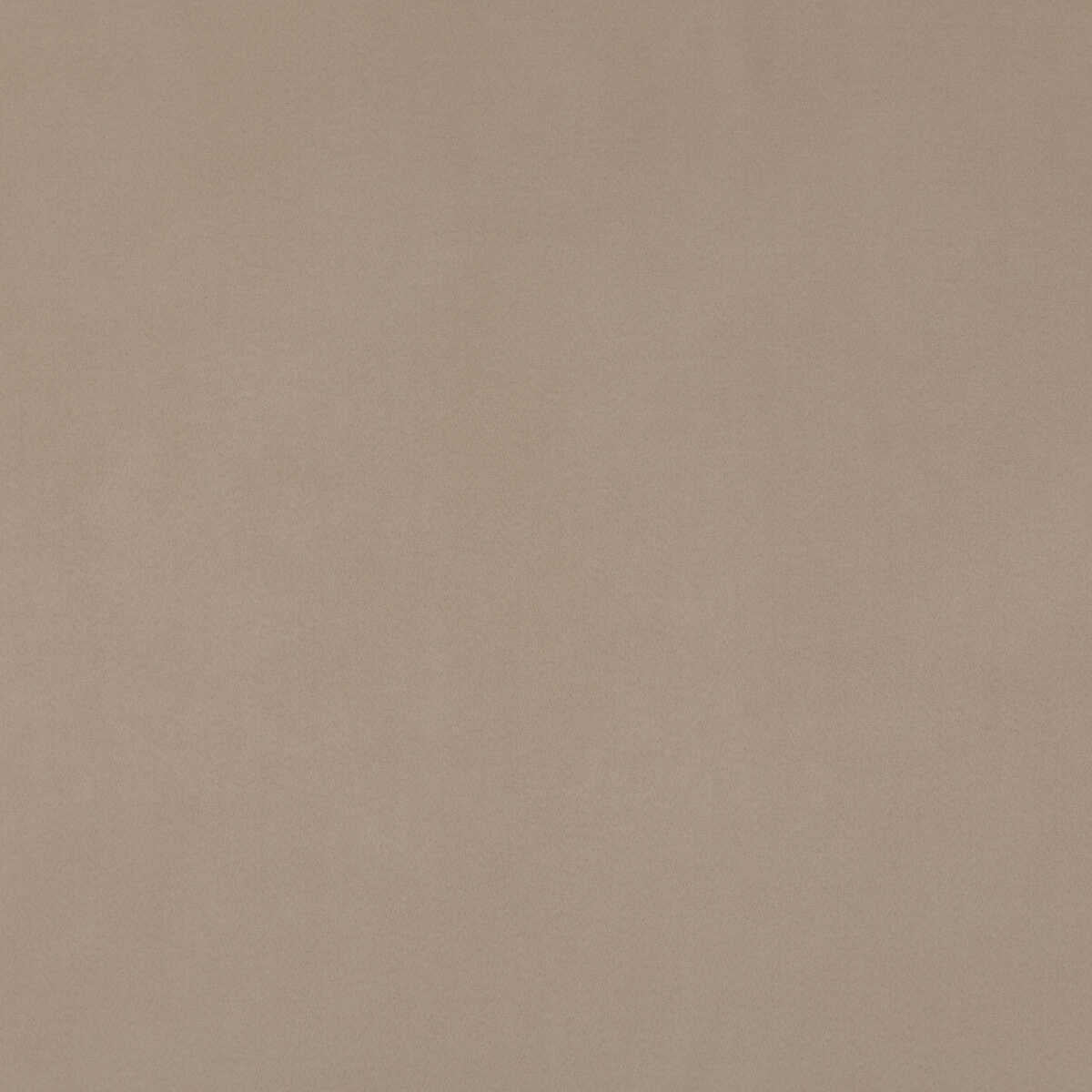 Maddox - Taupe - BAKER LIFESTYLE Fabric
