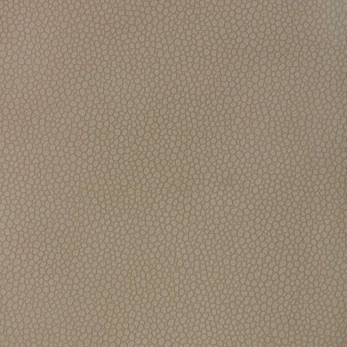 Kravet Design - Pietra-1111