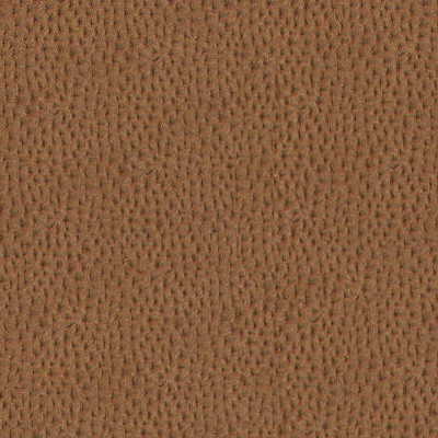 Kravet Design - Pinwheel-412