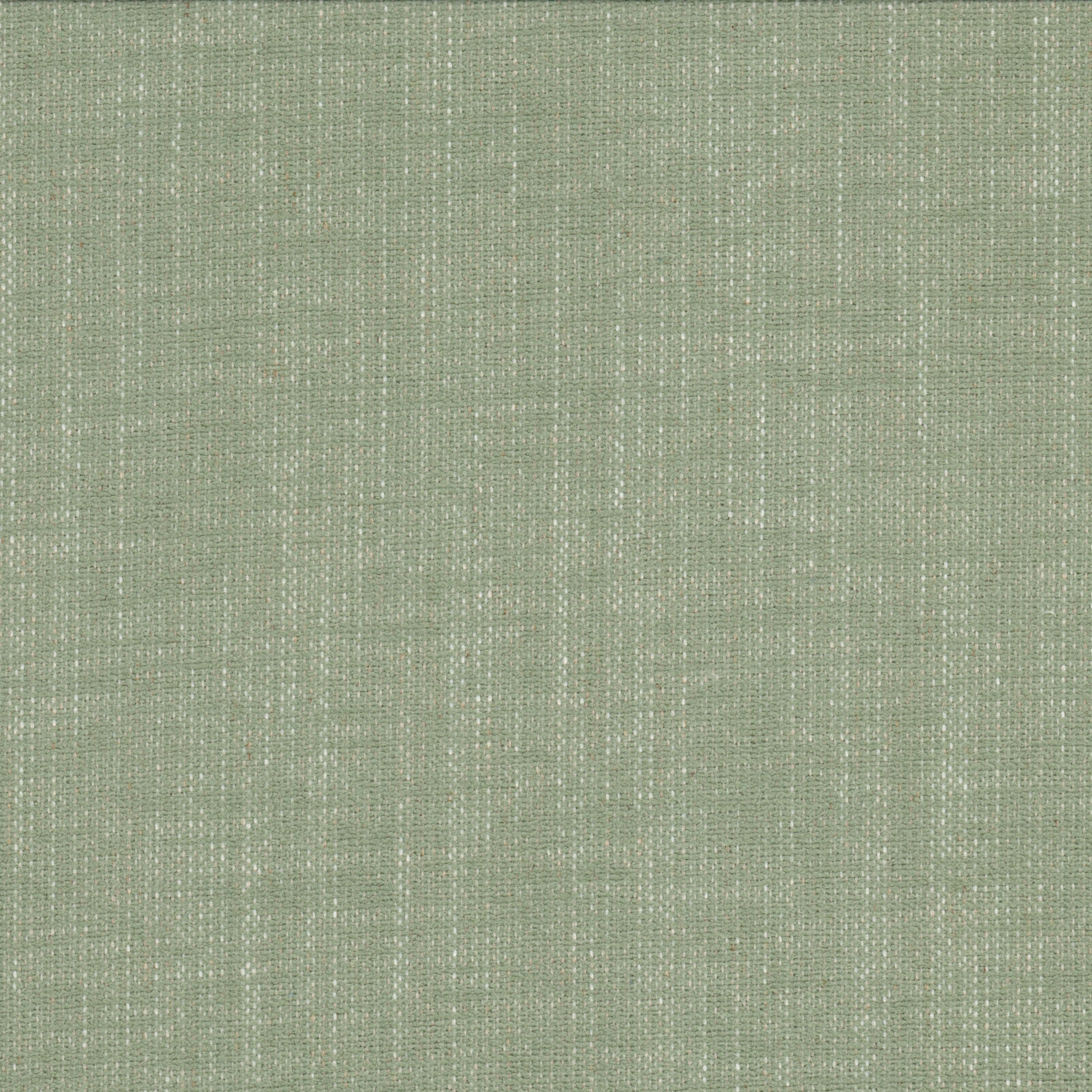 POLENTA-9-DEWKIST-STOUT-TEXTILES - Stout Textiles Fabric