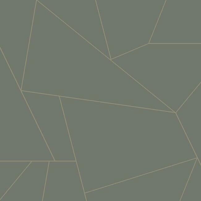 Fractured Prism Premium Peel + Stick Wallpaper - Graphite - York Wallcoverings - PSW1233RL