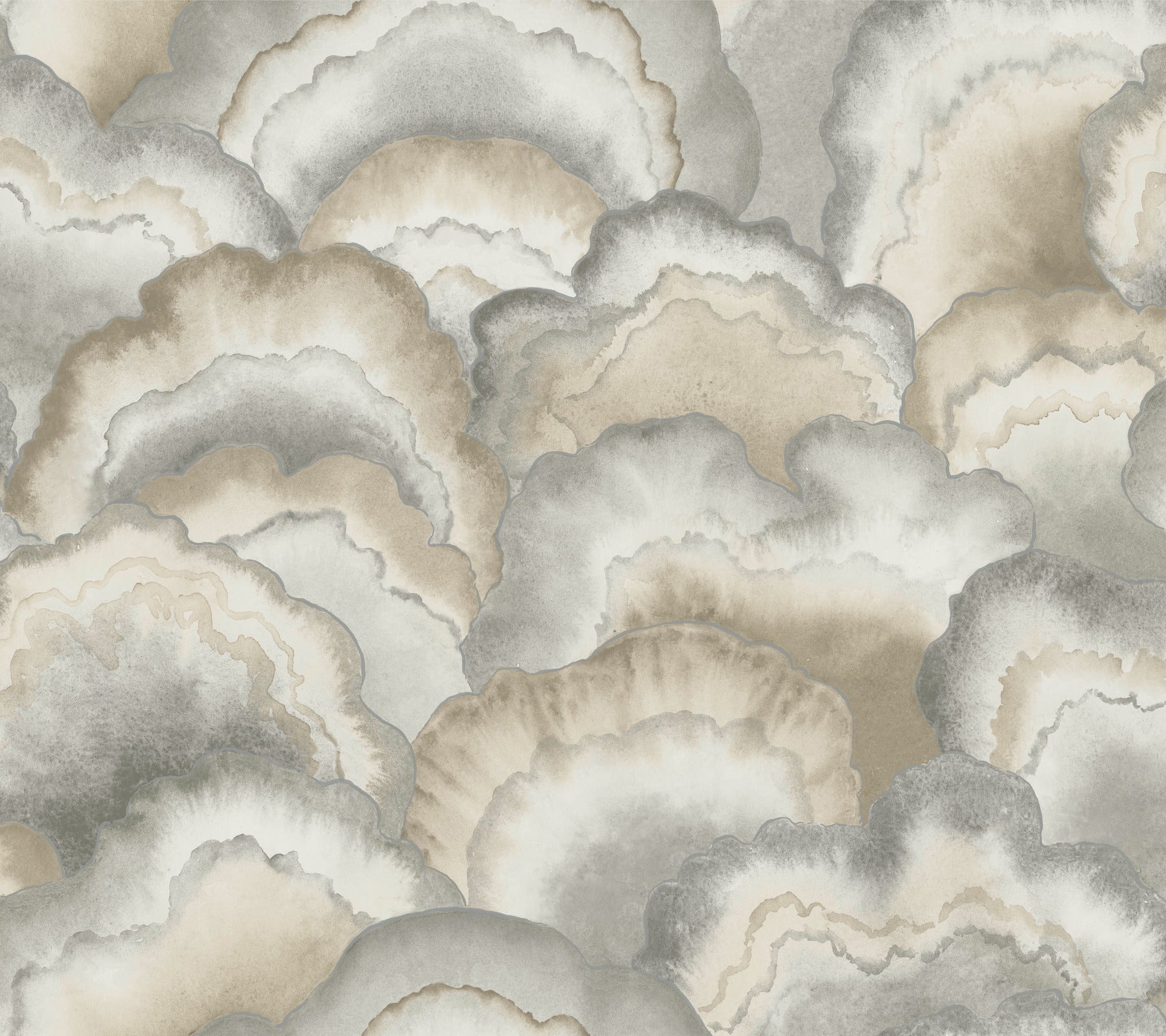 Abalone Fans Premium Peel + Stick Wallpaper - Smokey - York Wallcoverings - PSW1615RL