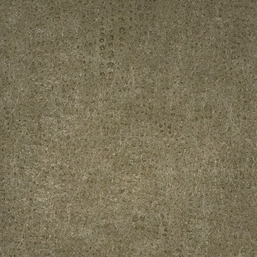 pointille-ptl-007-brushed-gold-innovations