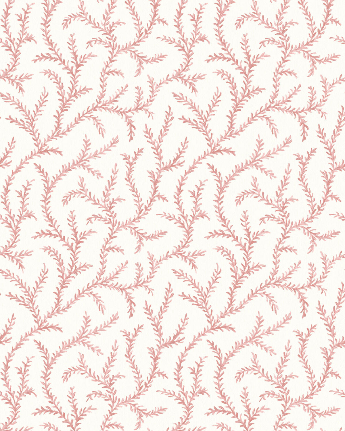 Inaya Wp - Rose - Pure Edit Wallpaper