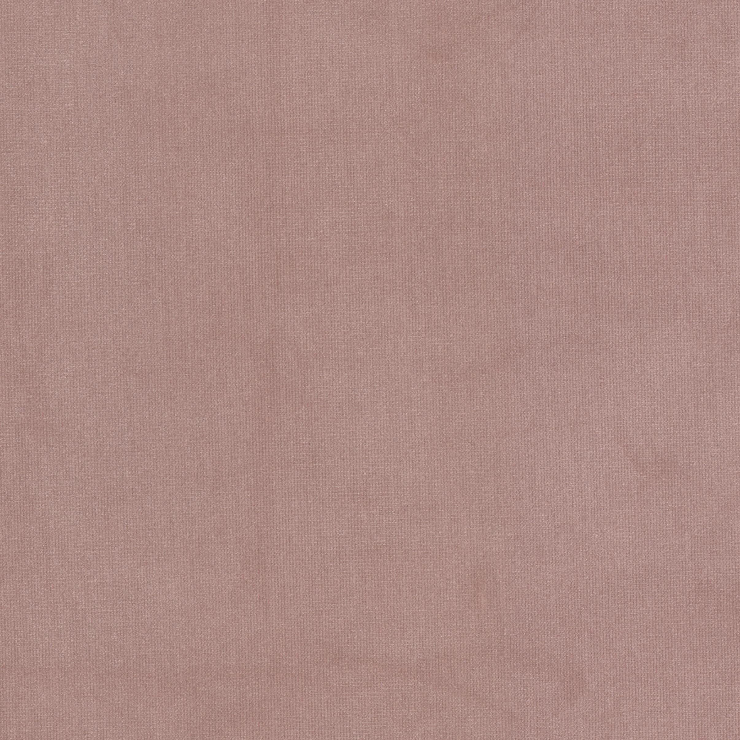 QUEEN-16-CAMELIA-STOUT-TEXTILES