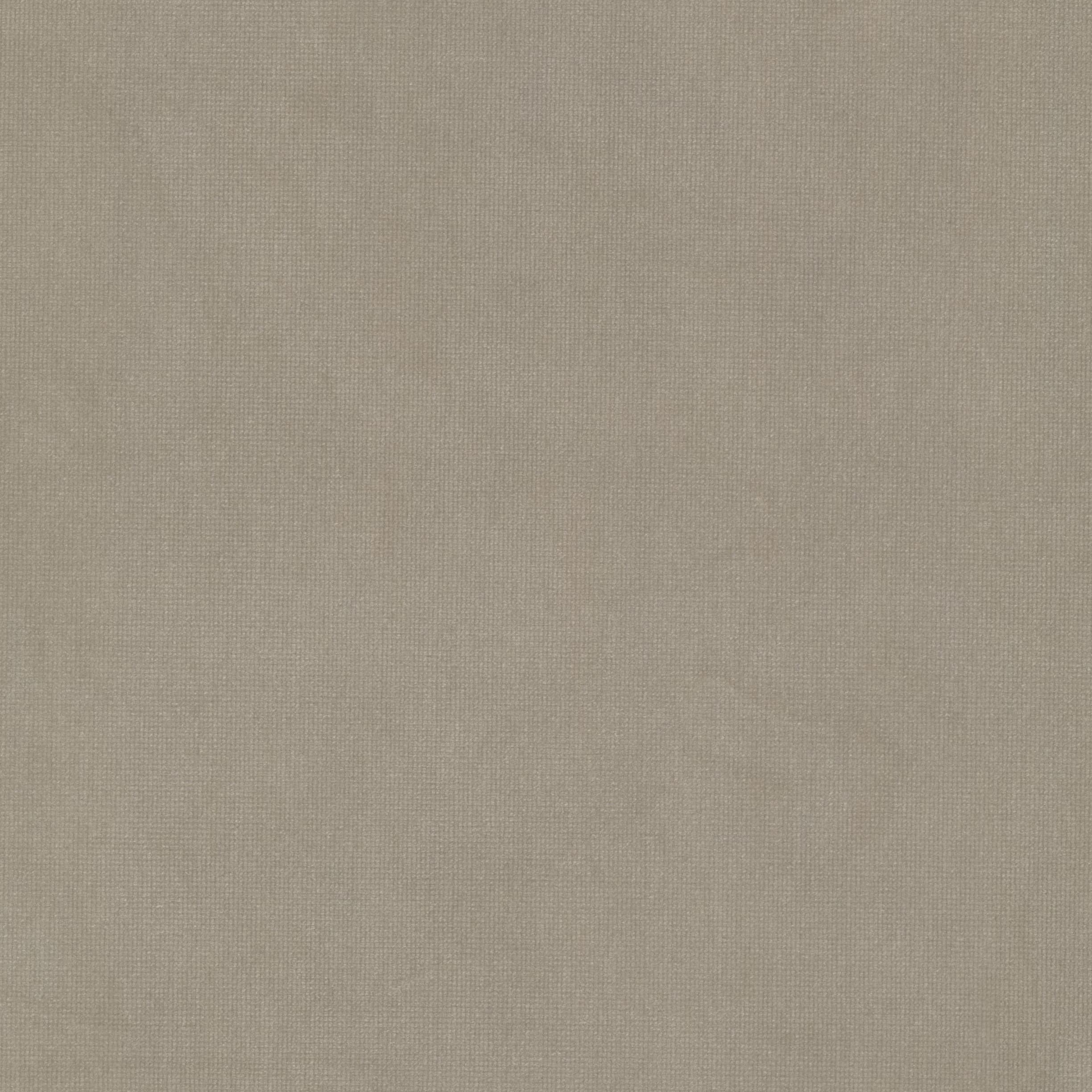 Queen 23 Beige by Stout Fabric