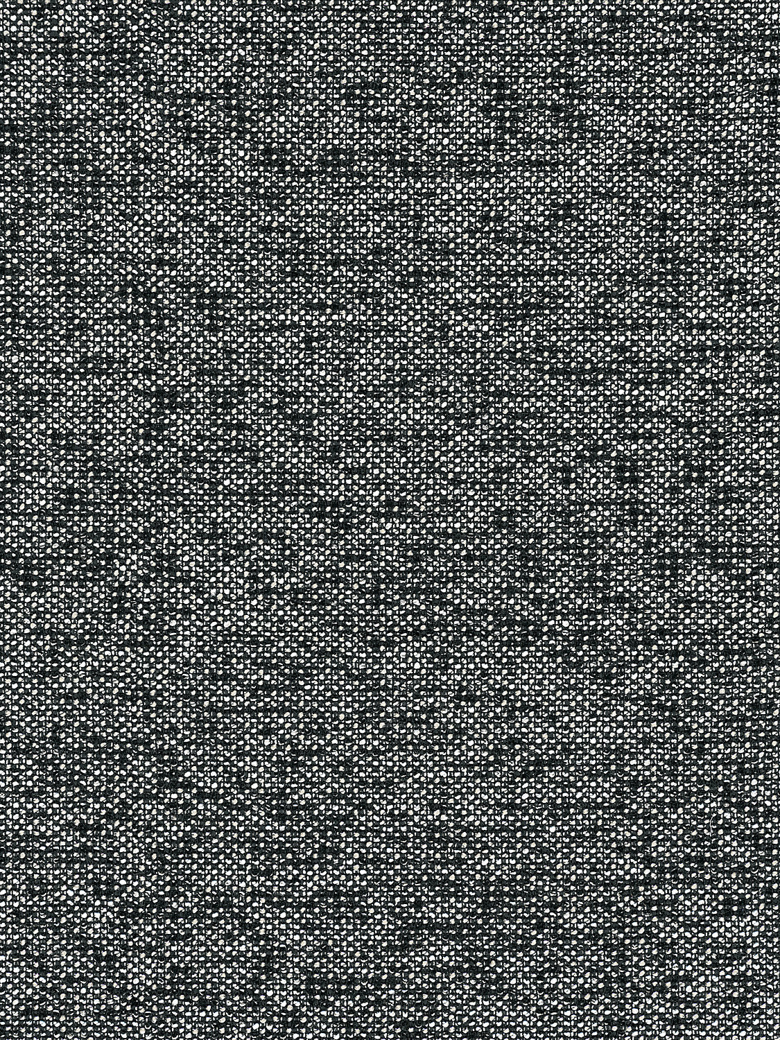 Torrs - Salt & Pepper - Scalamandre Fabric