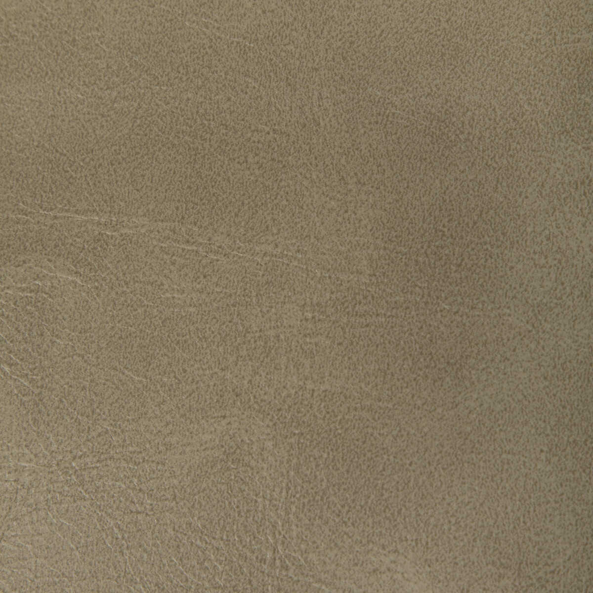 Rambler - Antler - KRAVET CONTRACT Fabric