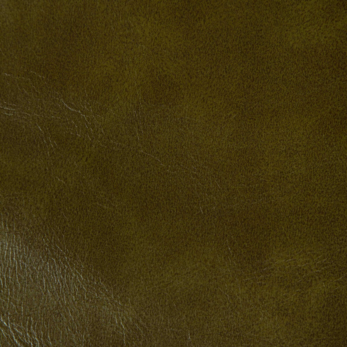 Rambler - Olive Branch - KRAVET CONTRACT Fabric
