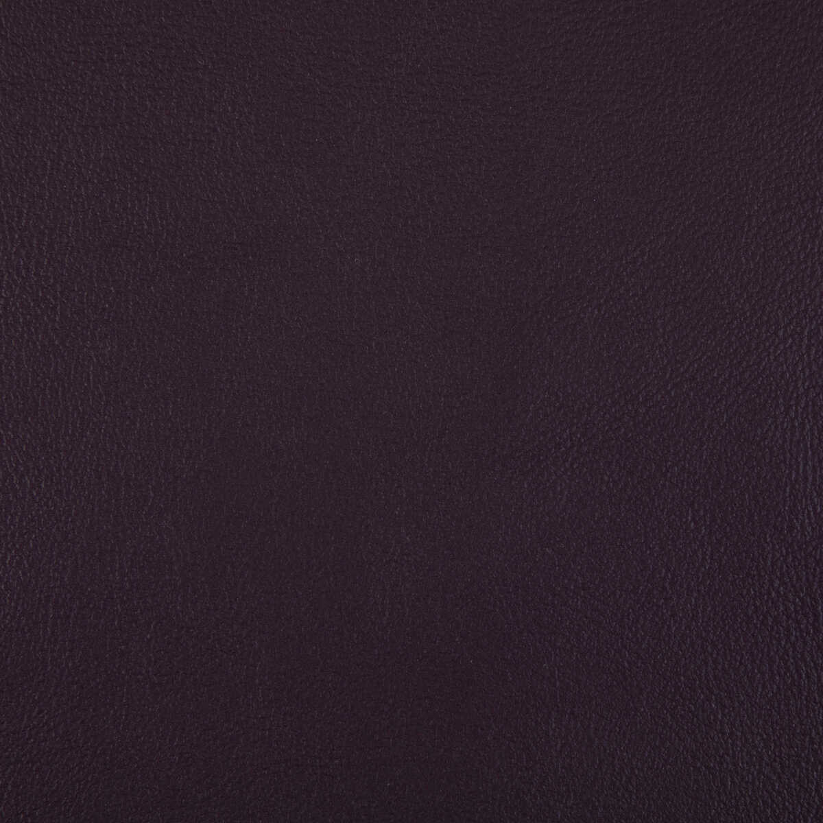 Rand - Plum