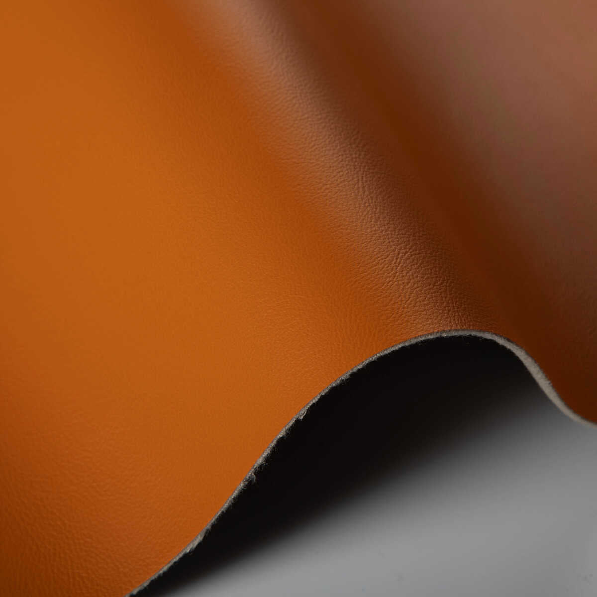 Rand - Squash - KRAVET CONTRACT Fabric