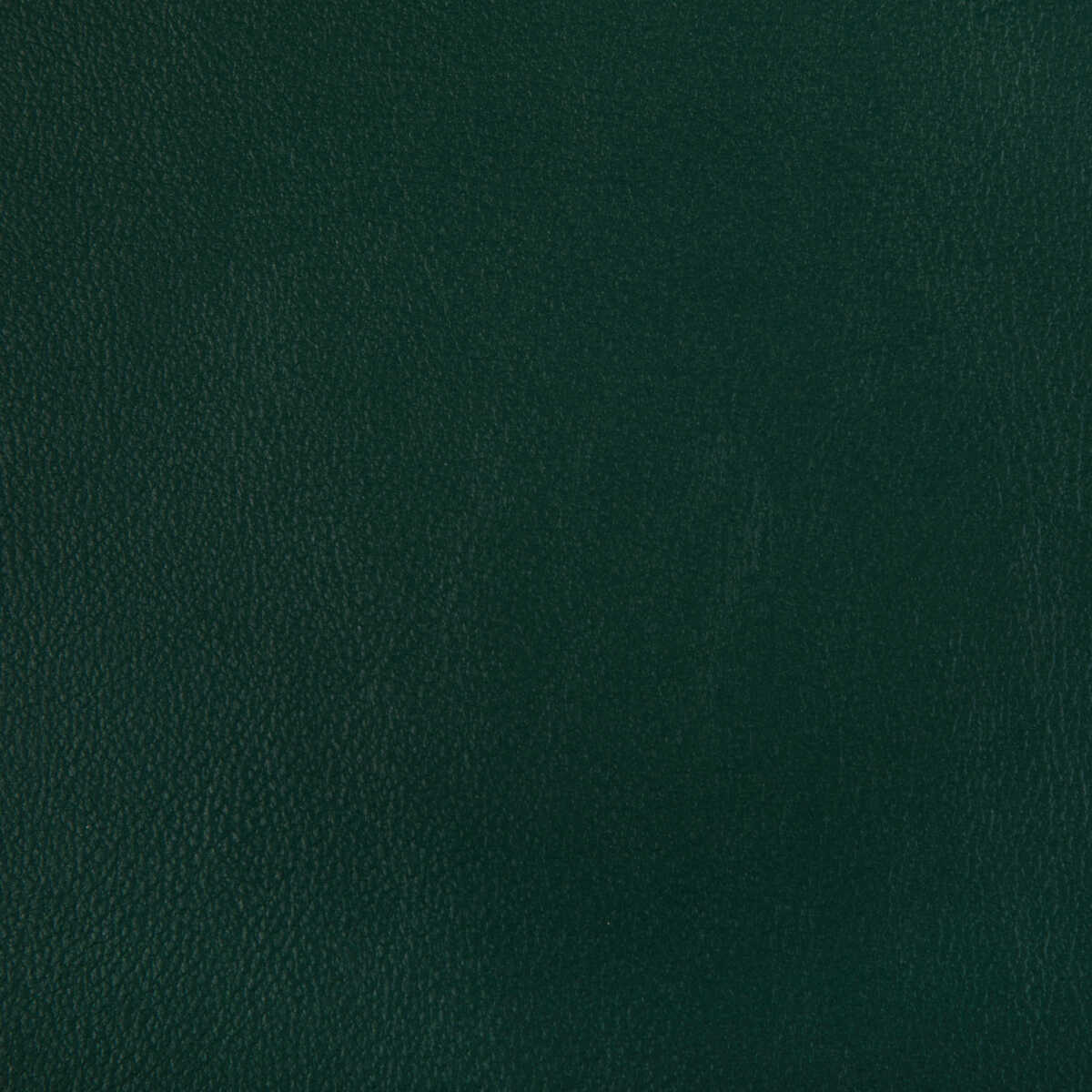 Rand - Forest - KRAVET CONTRACT Tela