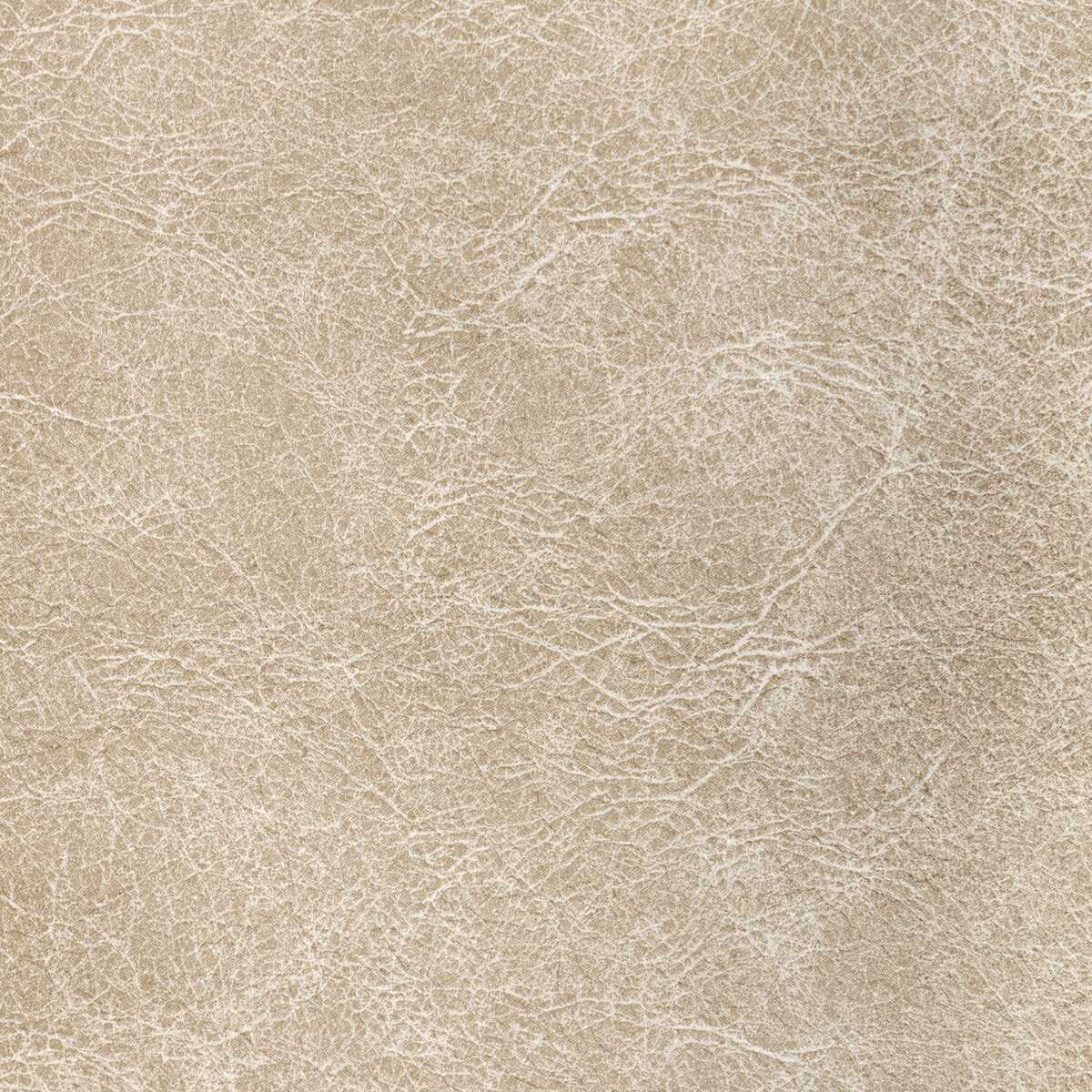 Reboot - Fossil - KRAVET CONTRACT Fabric