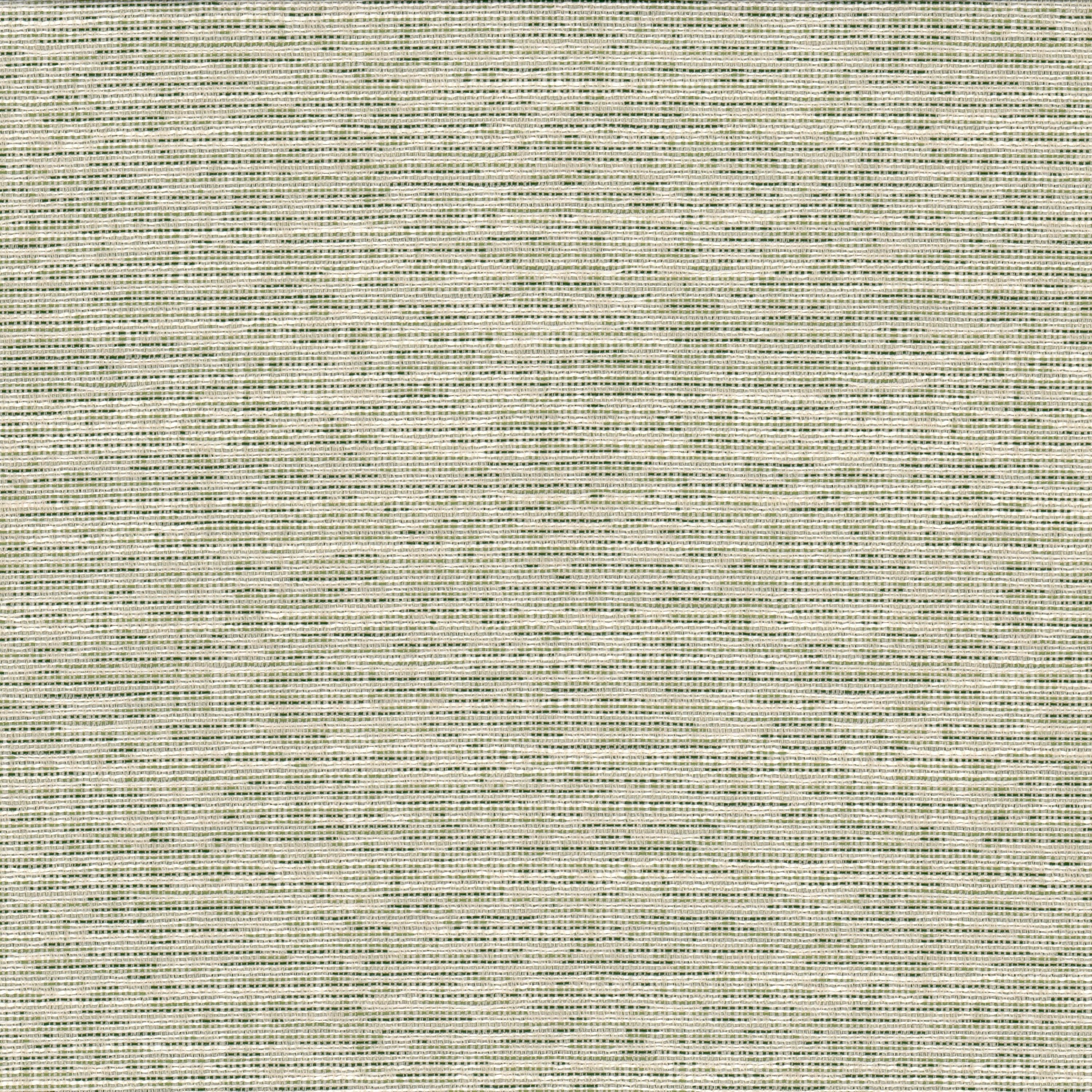 RECORD-1-GRASS-STOUT-TEXTILES - Stout Textiles Fabric