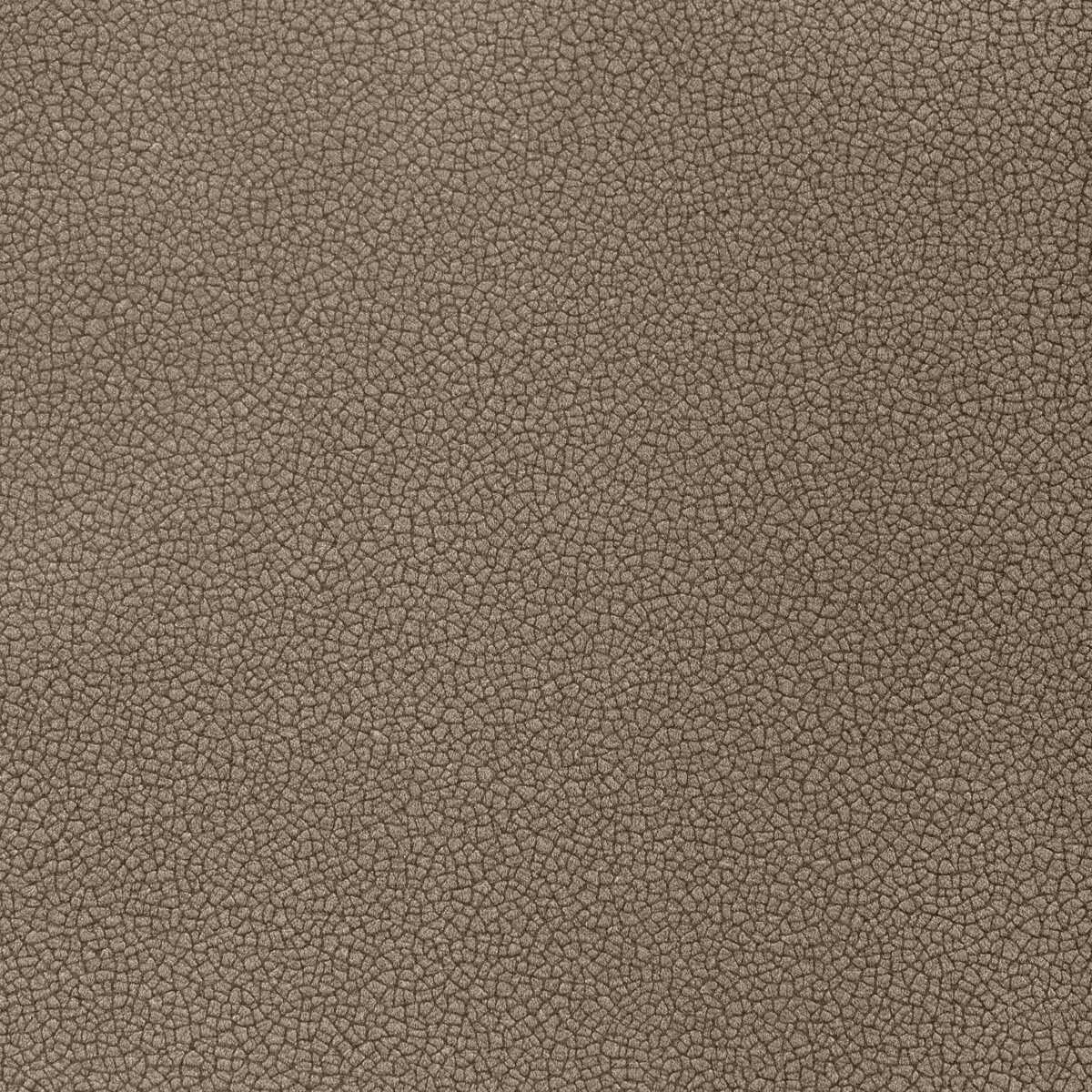 Reset - Shadow - KRAVET CONTRACT Fabric