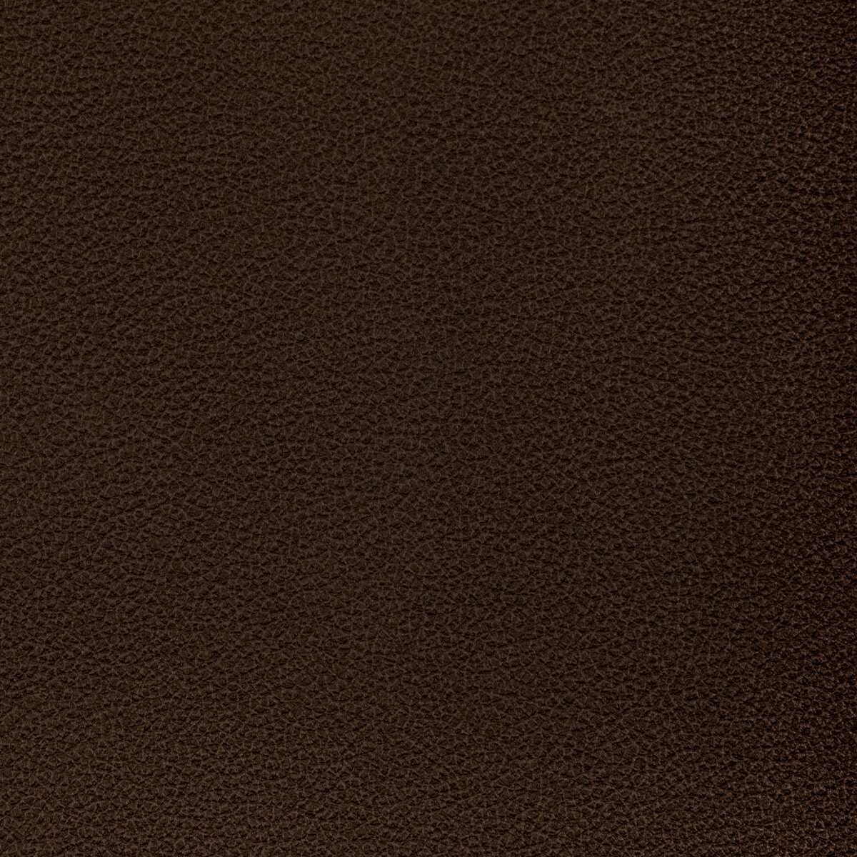 Reset - Cacao - KRAVET CONTRACT Fabric