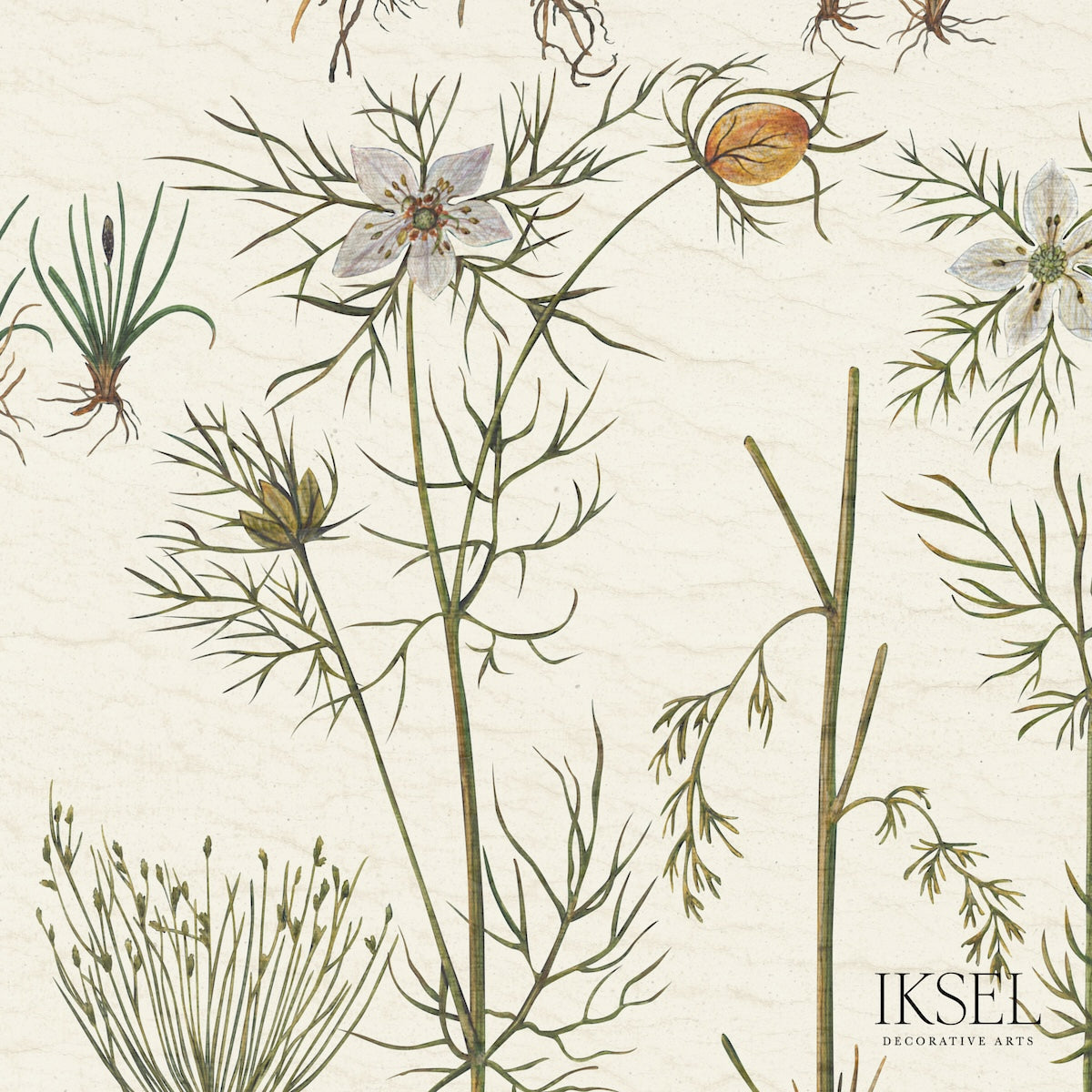 HERBIER-WHITE-SCHUMACHER-RF417CS70