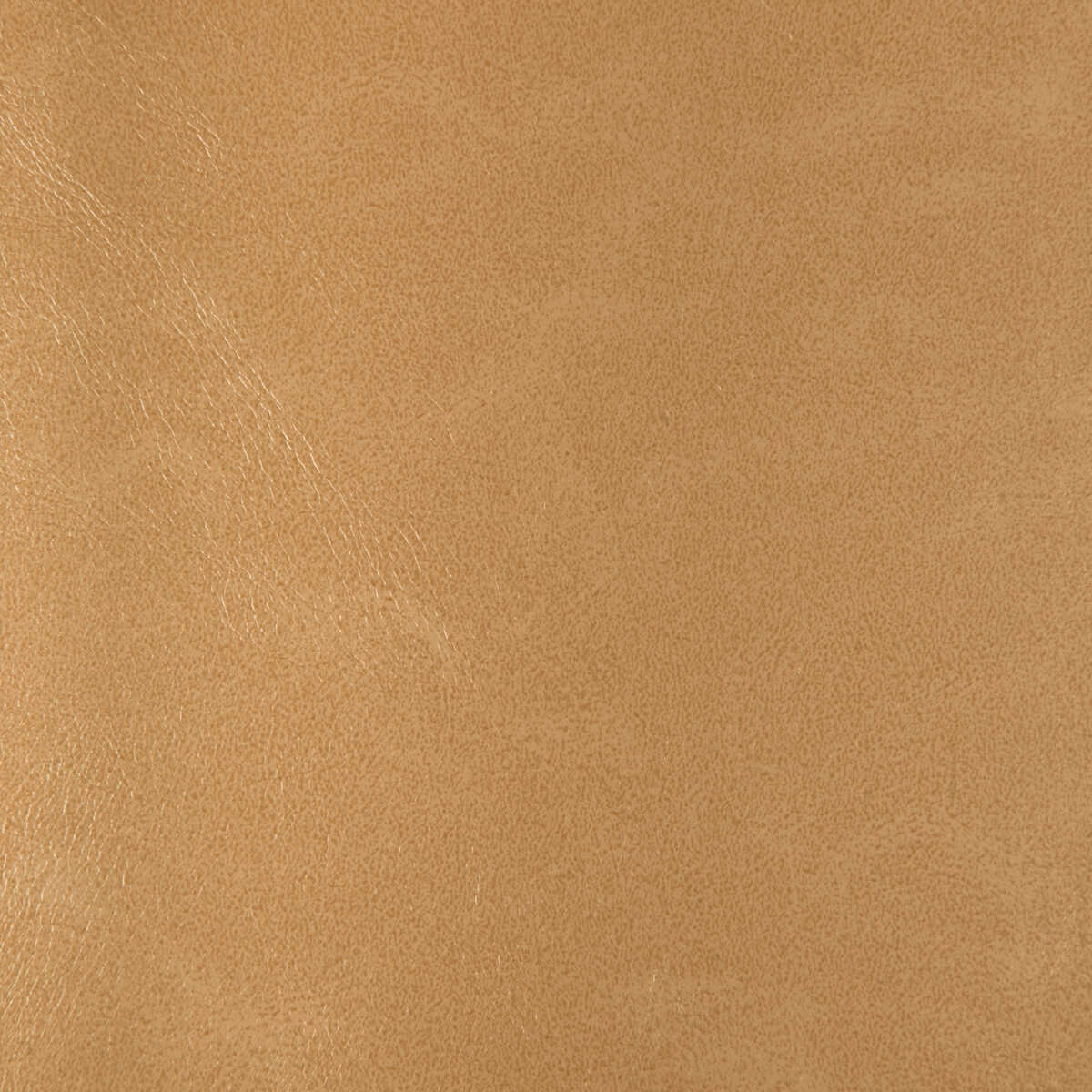Kravet Design - Rind-116 - KRAVET DESIGN Tela
