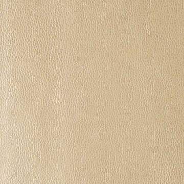 Kerinci - Gold Dust - KRAVET DESIGN Tela