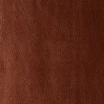 Rumors - Cinnamon - KRAVET CONTRACT Fabric