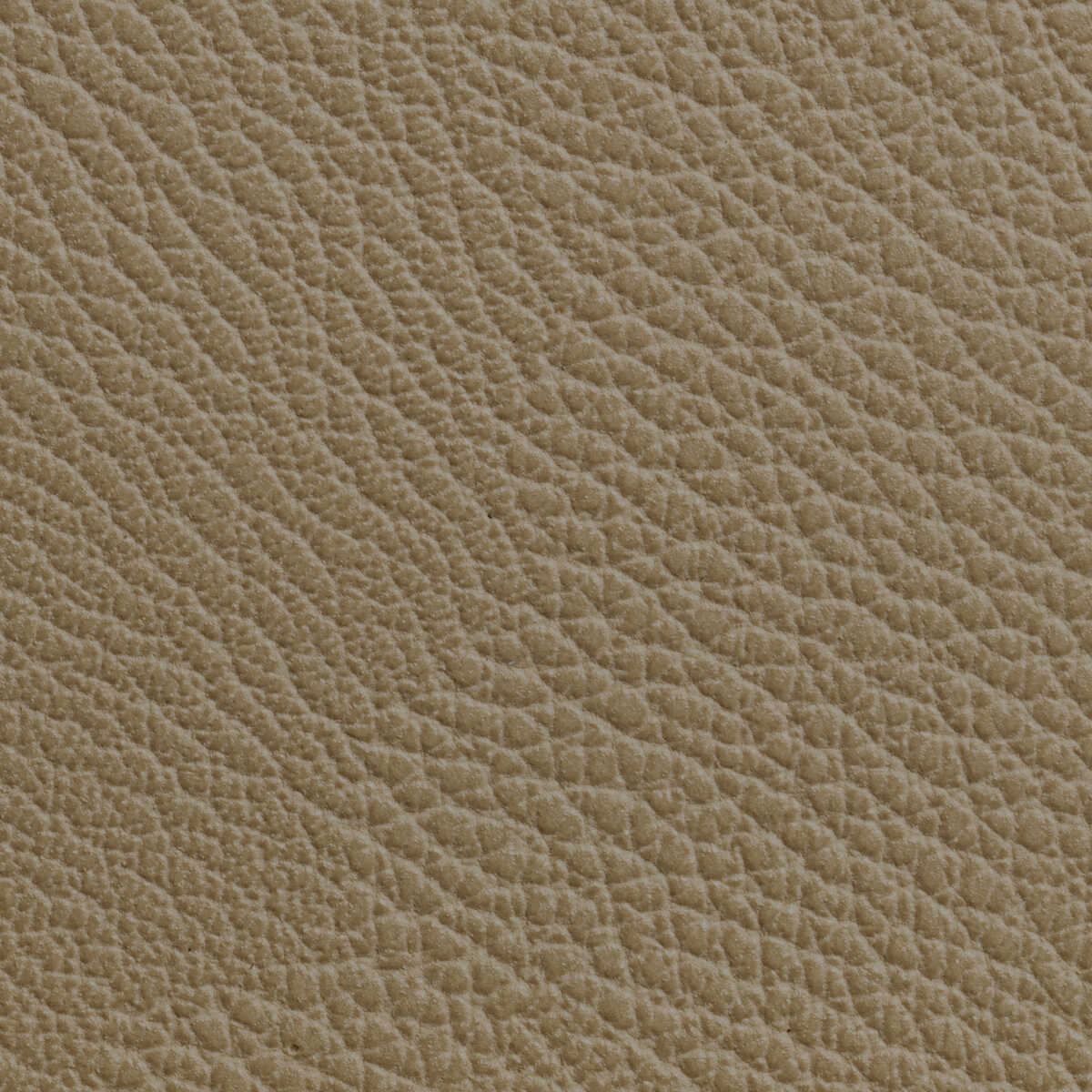 Rustler - Cashew - KRAVET CONTRACT Fabric