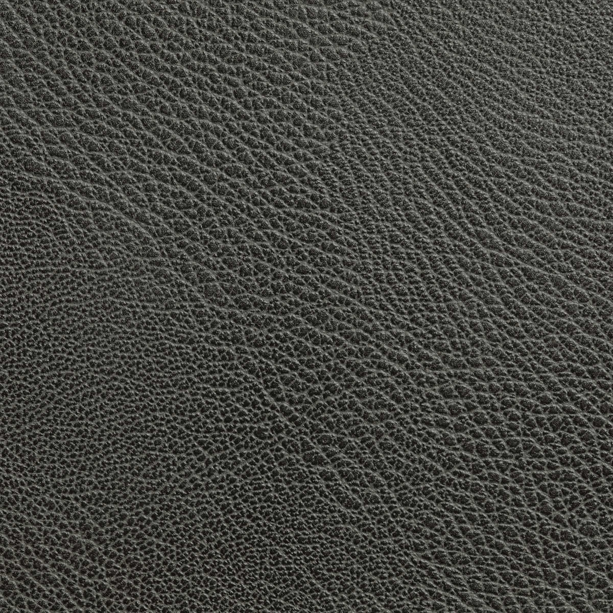 Rustler - Charcoal