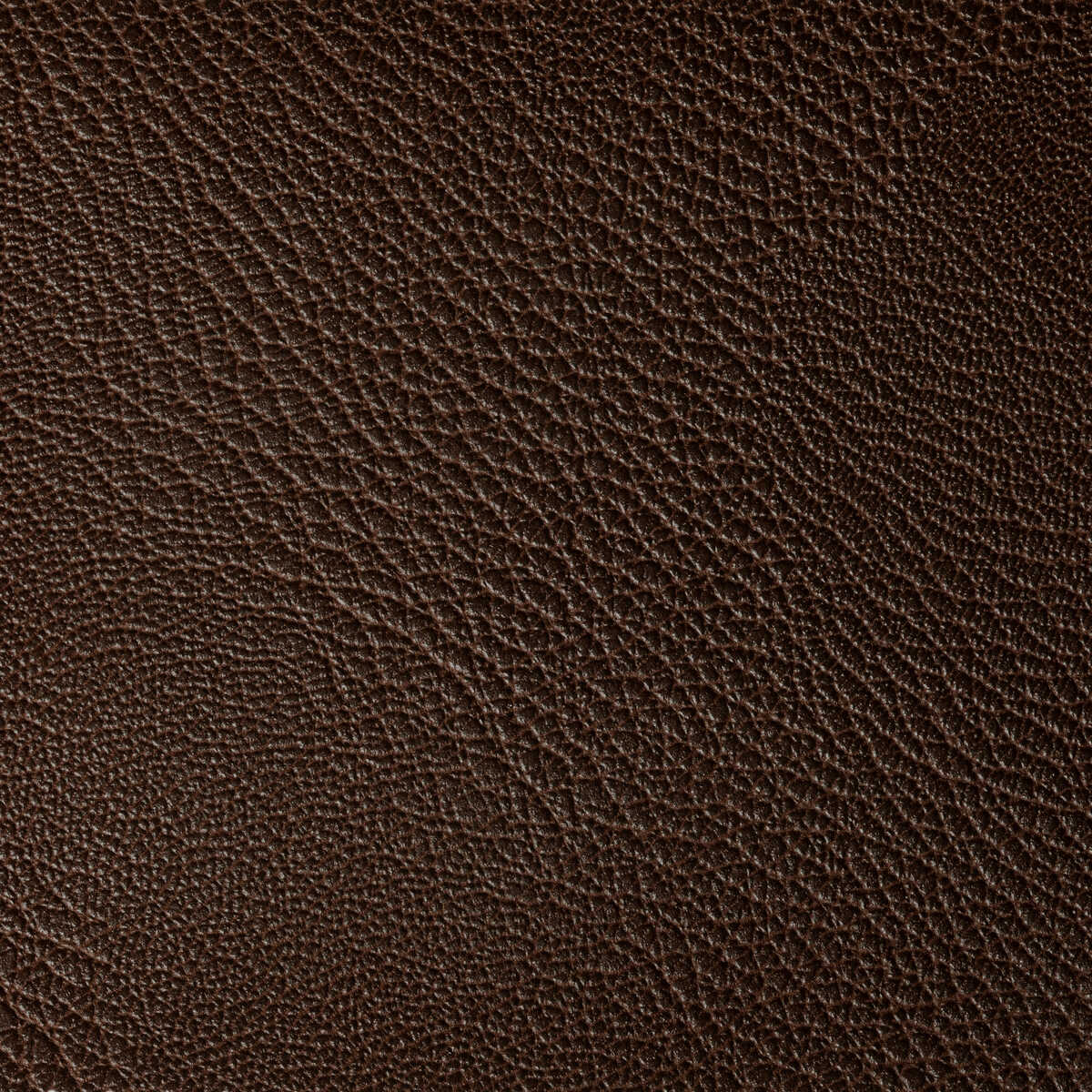 Rustler - Bark