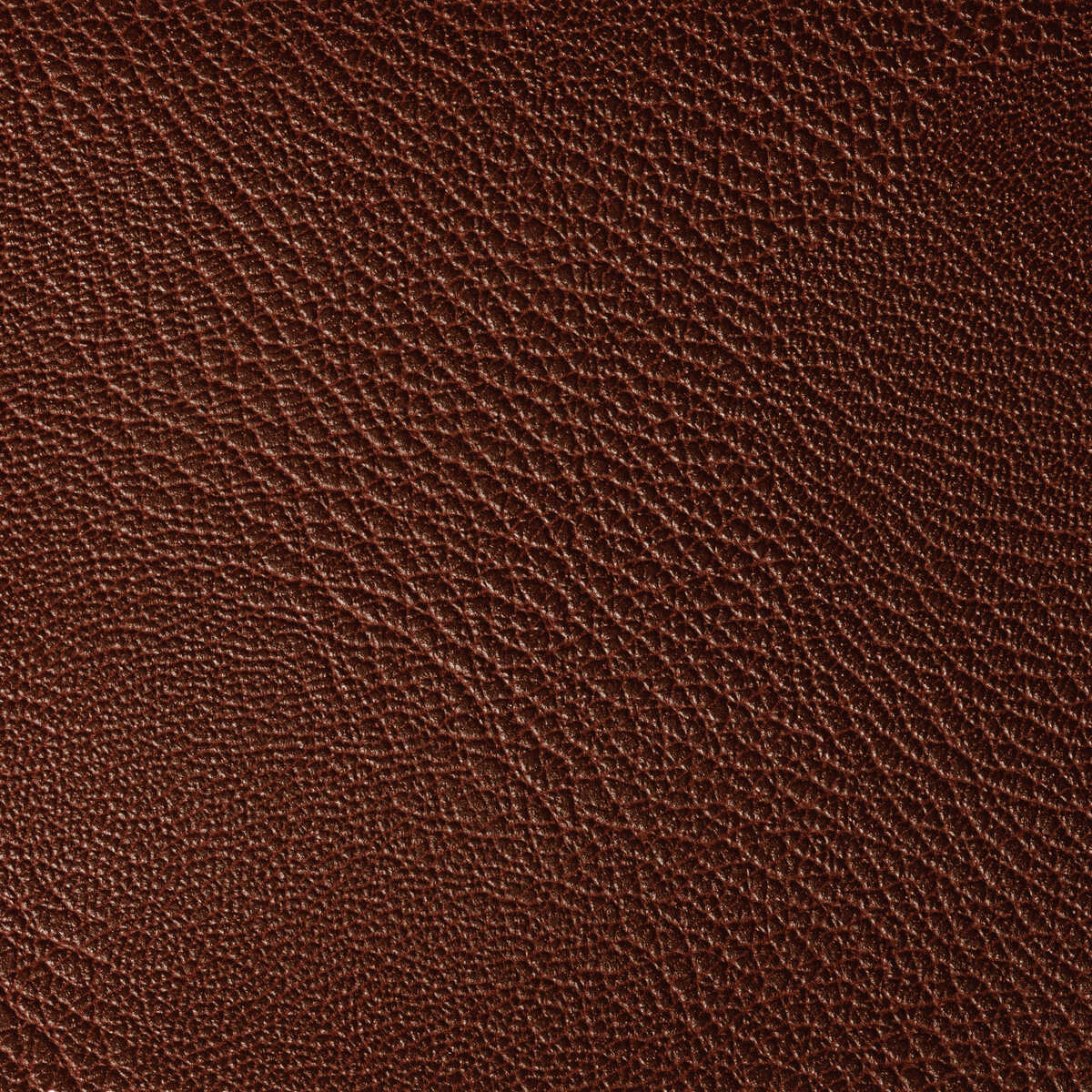 Rustler - Port - KRAVET CONTRACT Fabric
