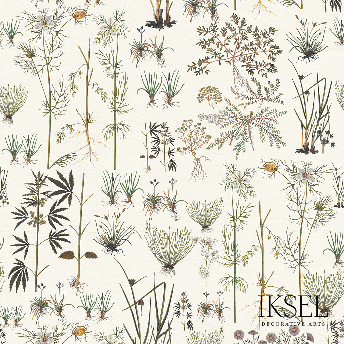 HERBIER-WHITE-SCHUMACHER-RW417CS70-255