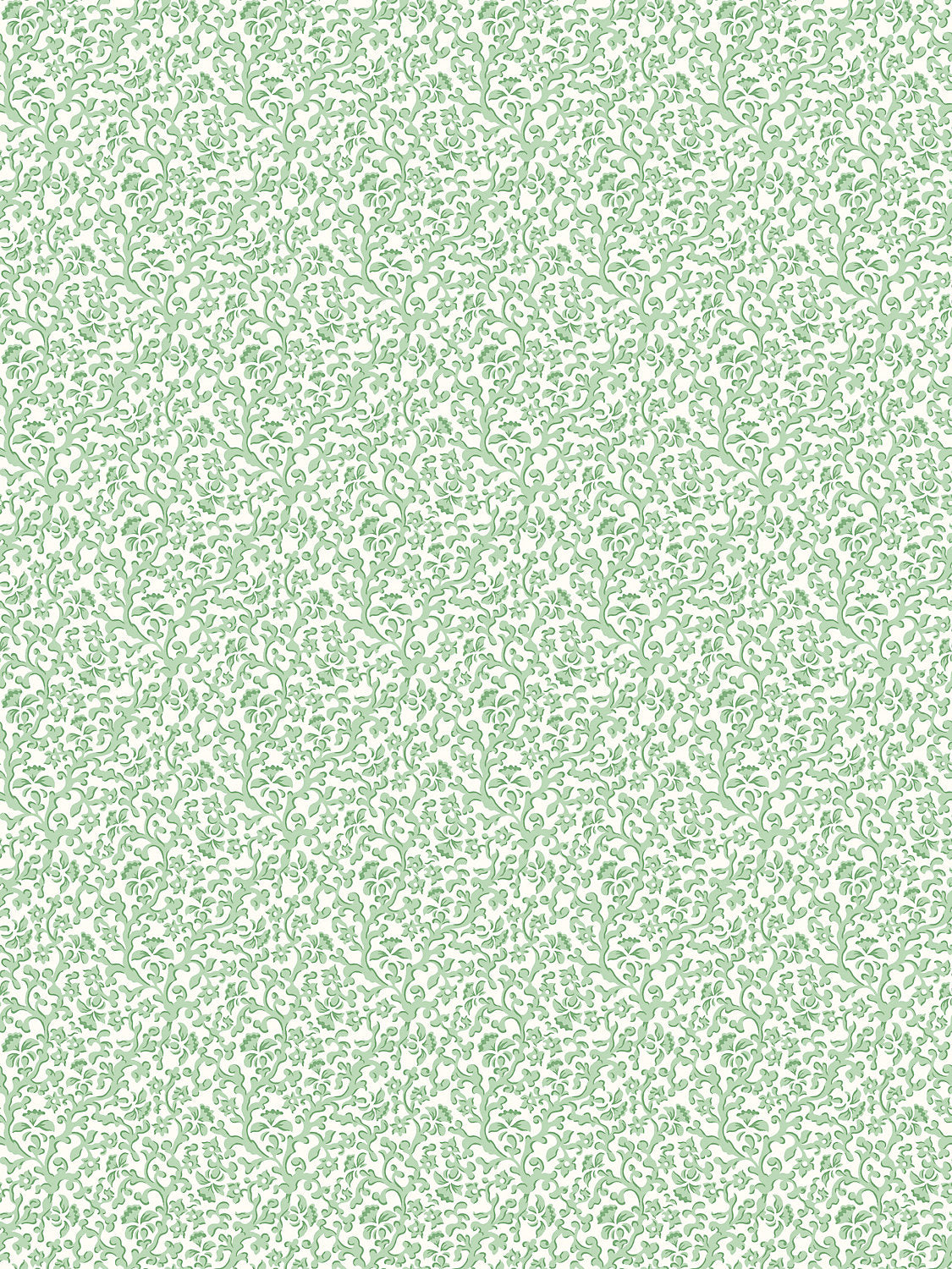 Bandbox Wallcovering - Meadow - Scalamandre Wallpaper