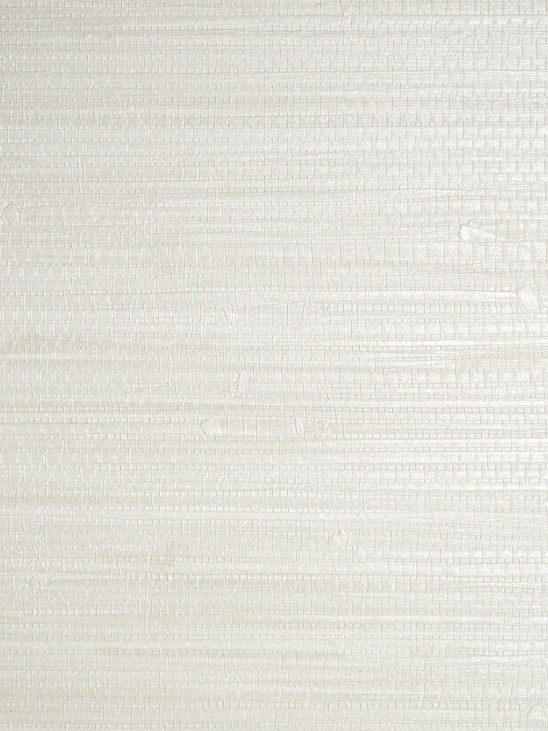 Pampas - Whitewash