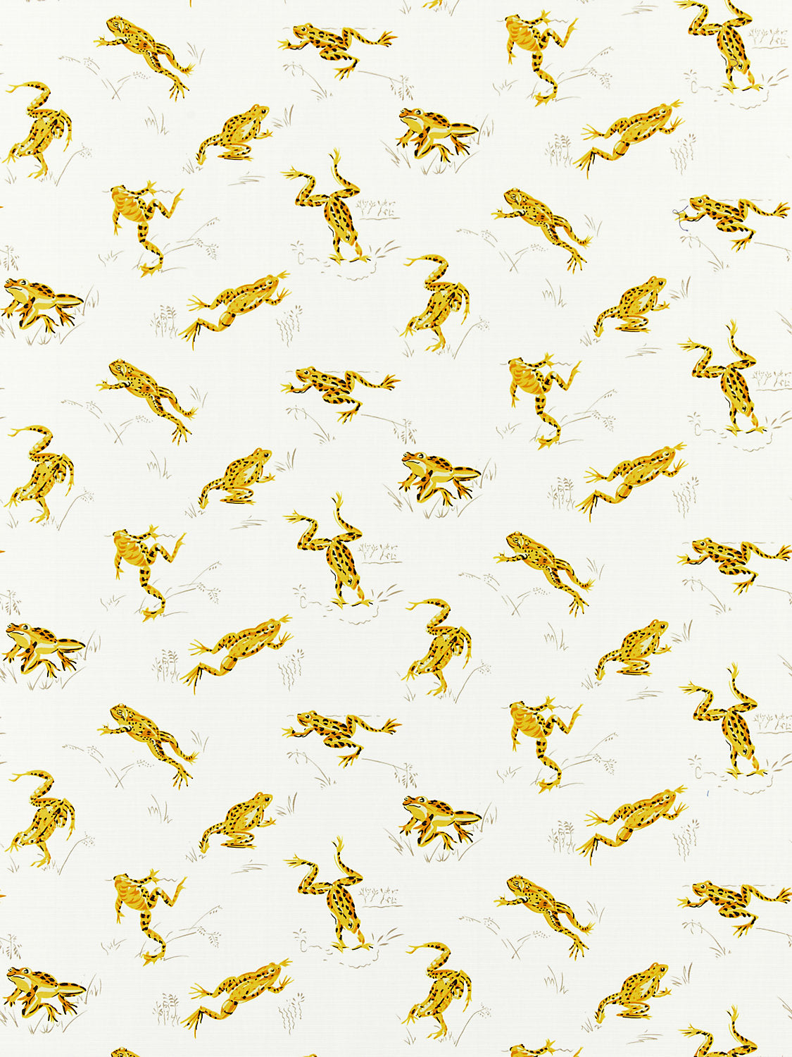 Calabasas County | Outdoor - Pineapple - Scalamandre Fabric