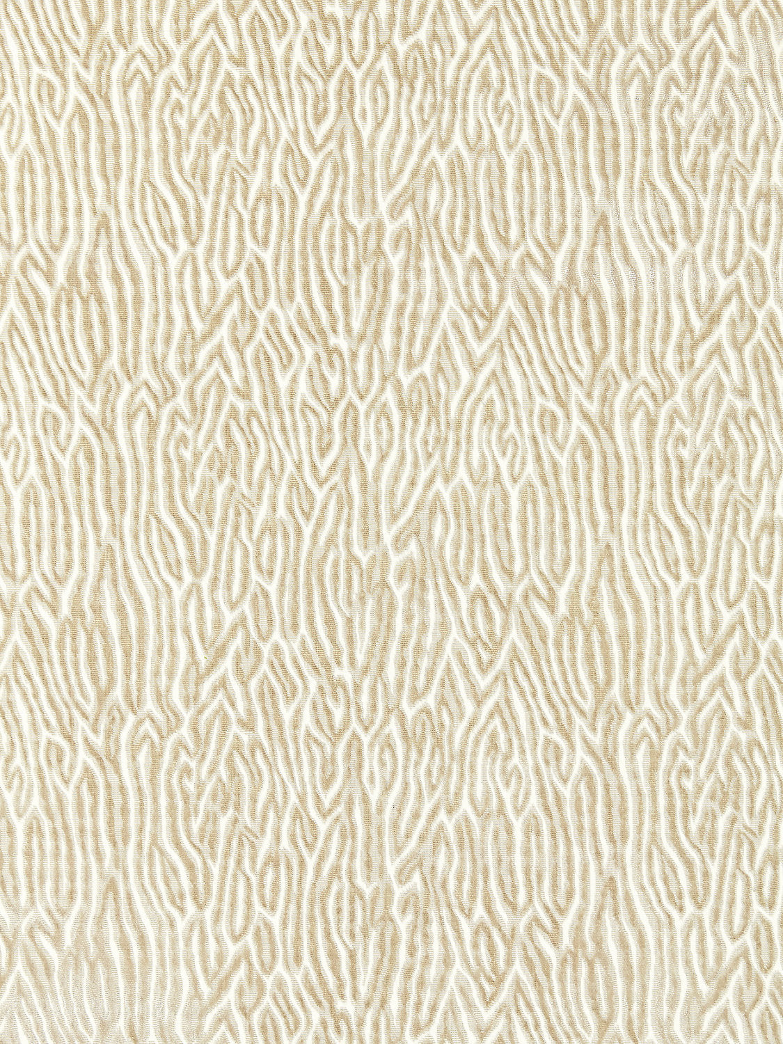 Faux Bois Velvet - Fog - Scalamandre Fabric