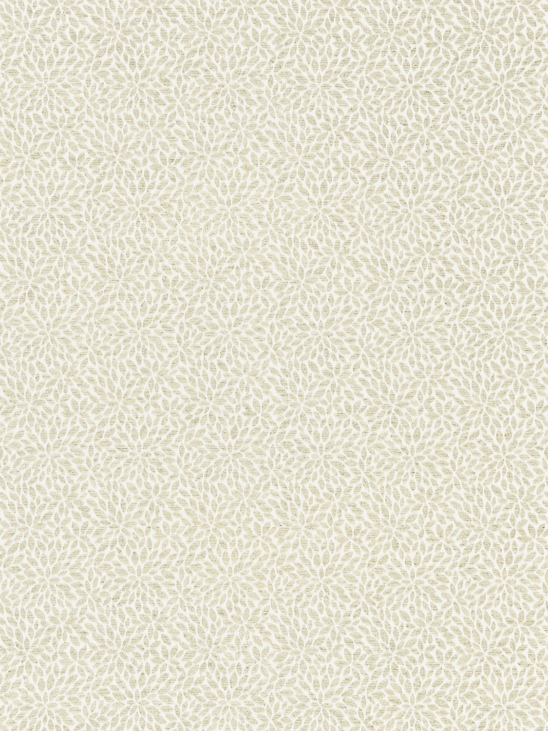 Risa Weave - Birch - Scalamandre Fabric