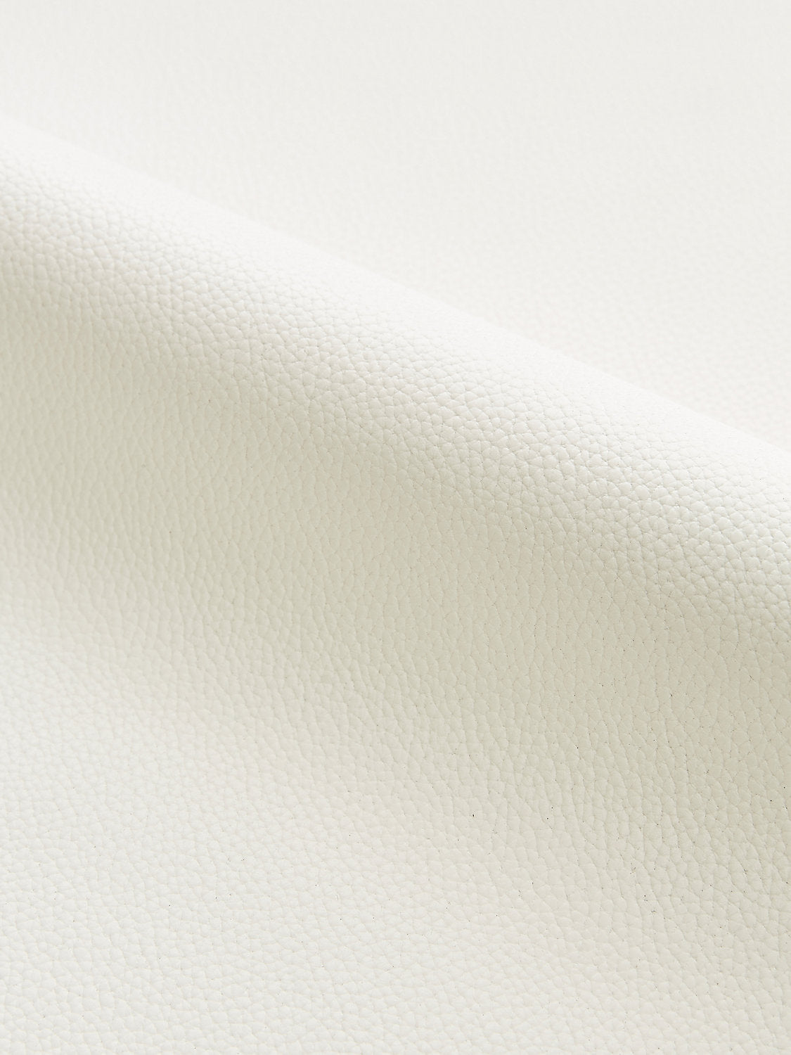 Lucille | Outdoor - Cotton - Scalamandre Fabric